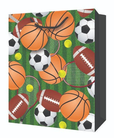 Mill Brook Gift Bag - Sport Large 10.5W x12.75H x 5.5D in