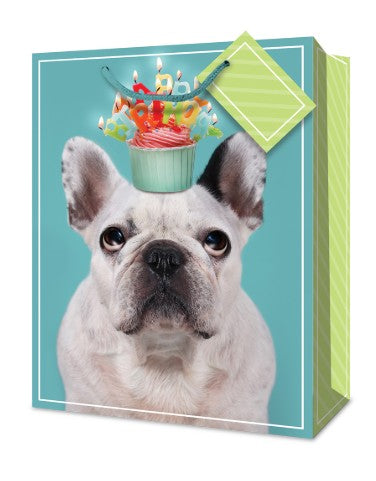 Mill Brook Gift Bag - Birthday Dog Jumbo 12.5W x17.5H x4D in
