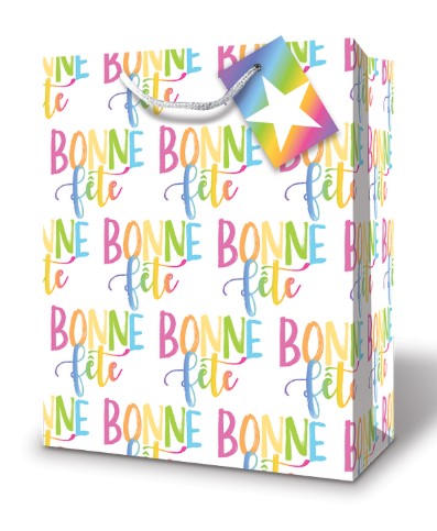 MillBrook Studio - Large Gift Bag Rainbow Bonne Fete French 12.75" x 5.38" x 10.38"