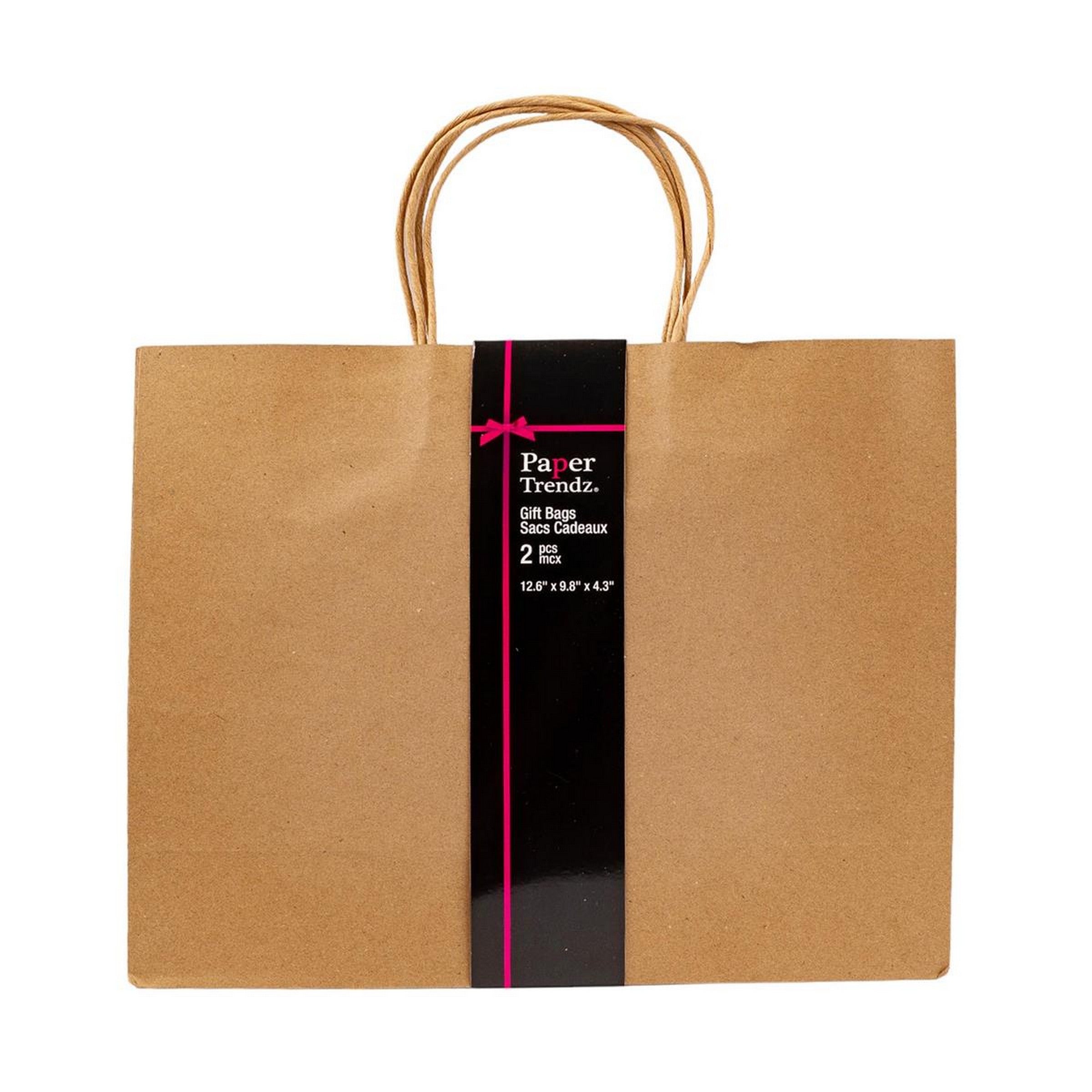 Paper Trendz 2 Kraft Paper Gift Bags 12.6W x 9.8H x 4.3D in