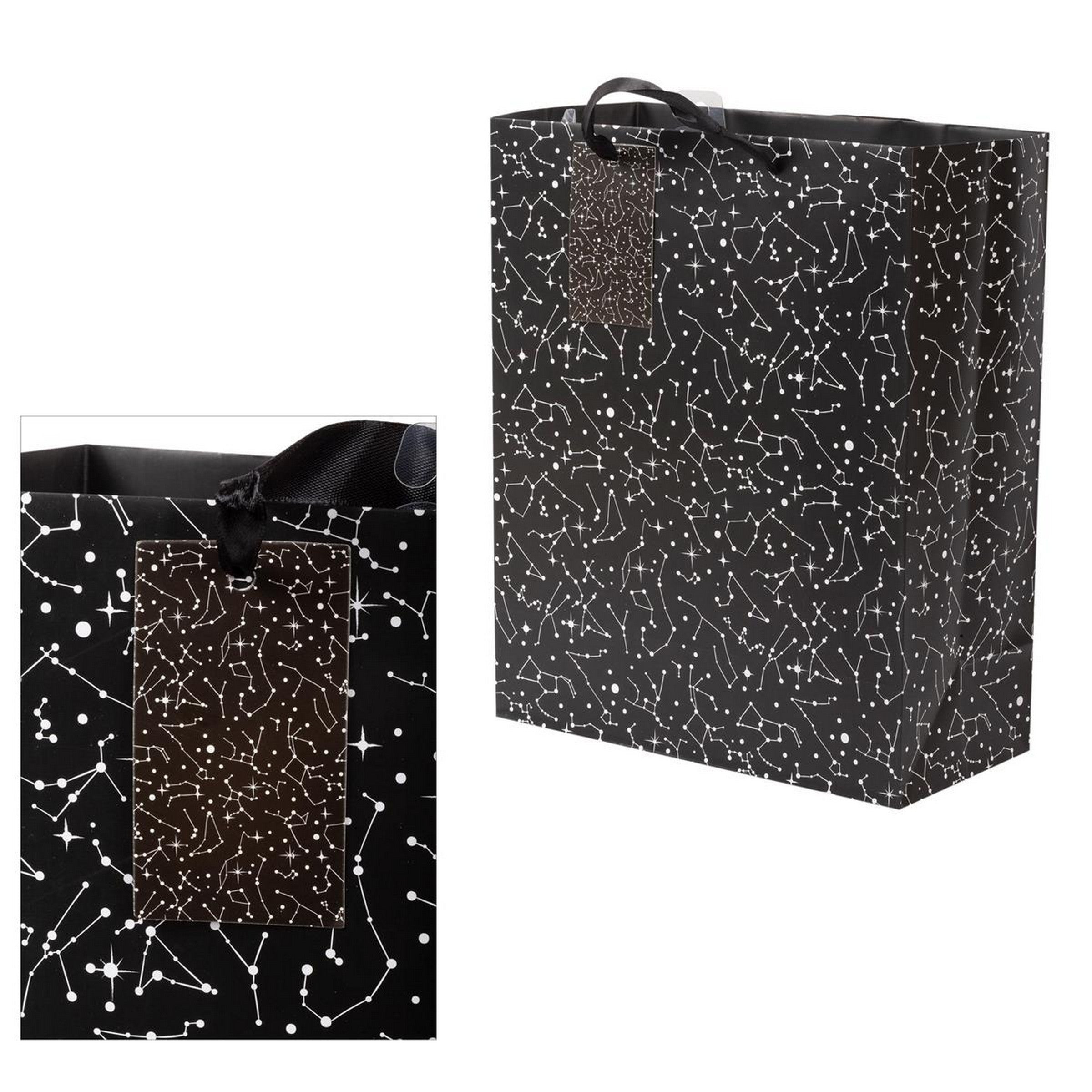 Paper Trendz Matte Gift Bag - Zodiac Large 10.2W x12.6H x5D in
