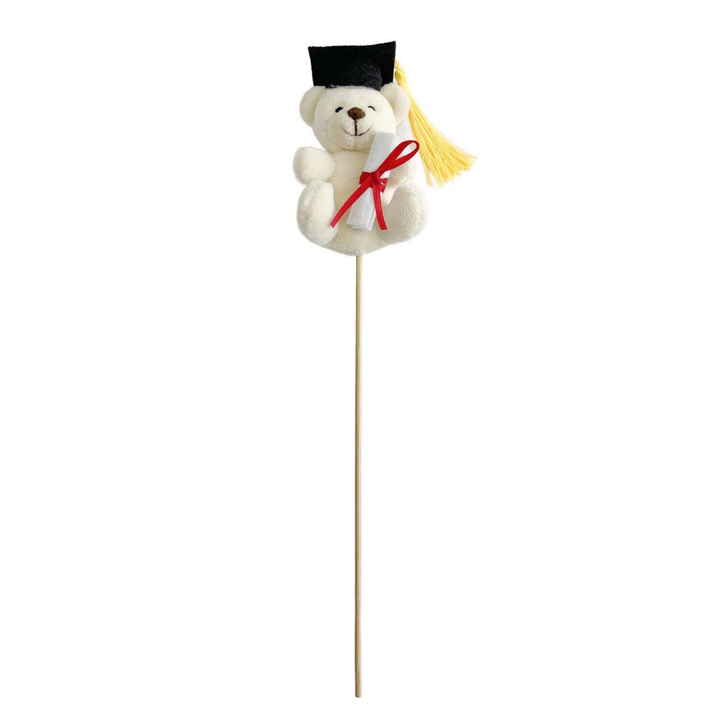 Graduation Teddy Bear Pick