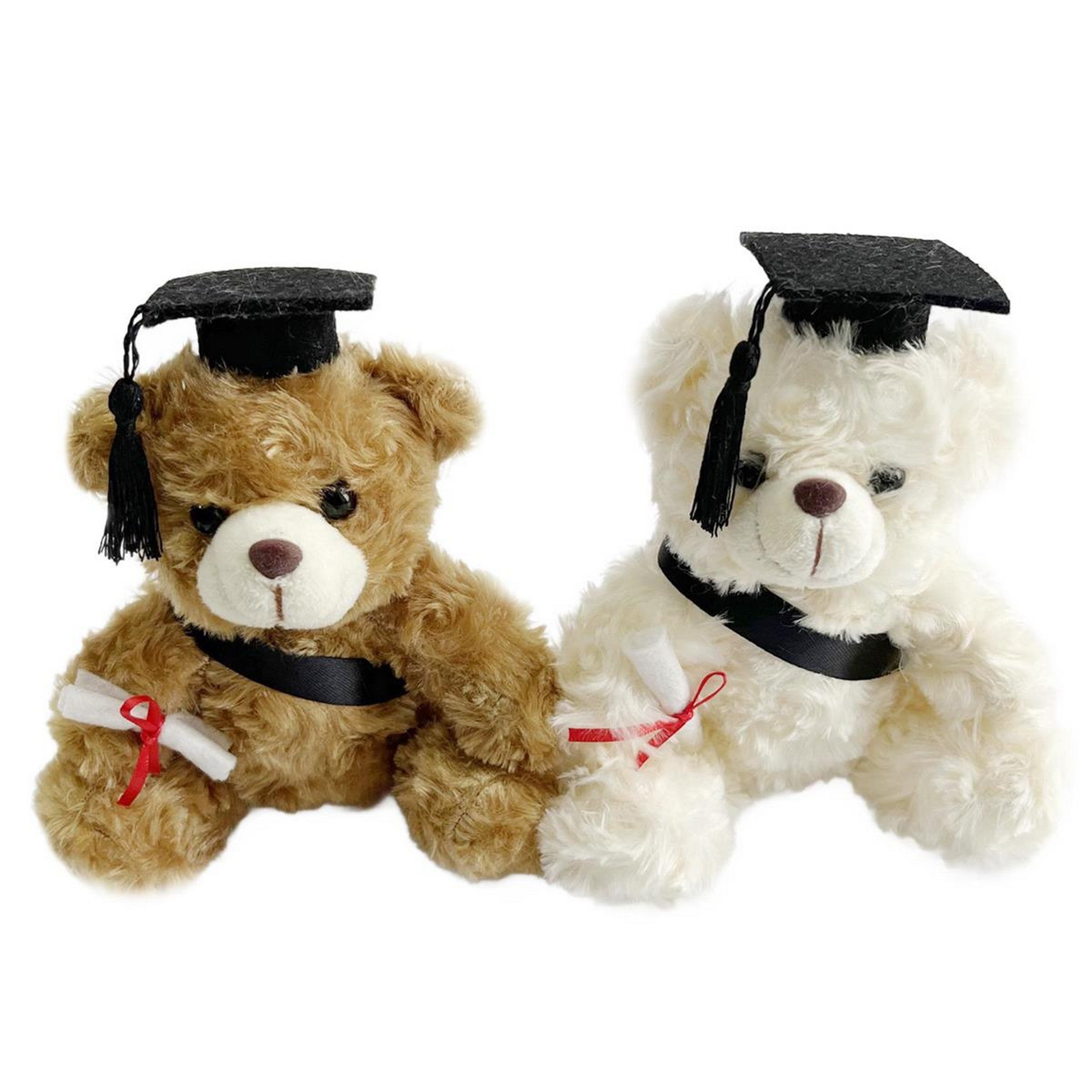 Graduation Teddy Bear Plush 6in VRT