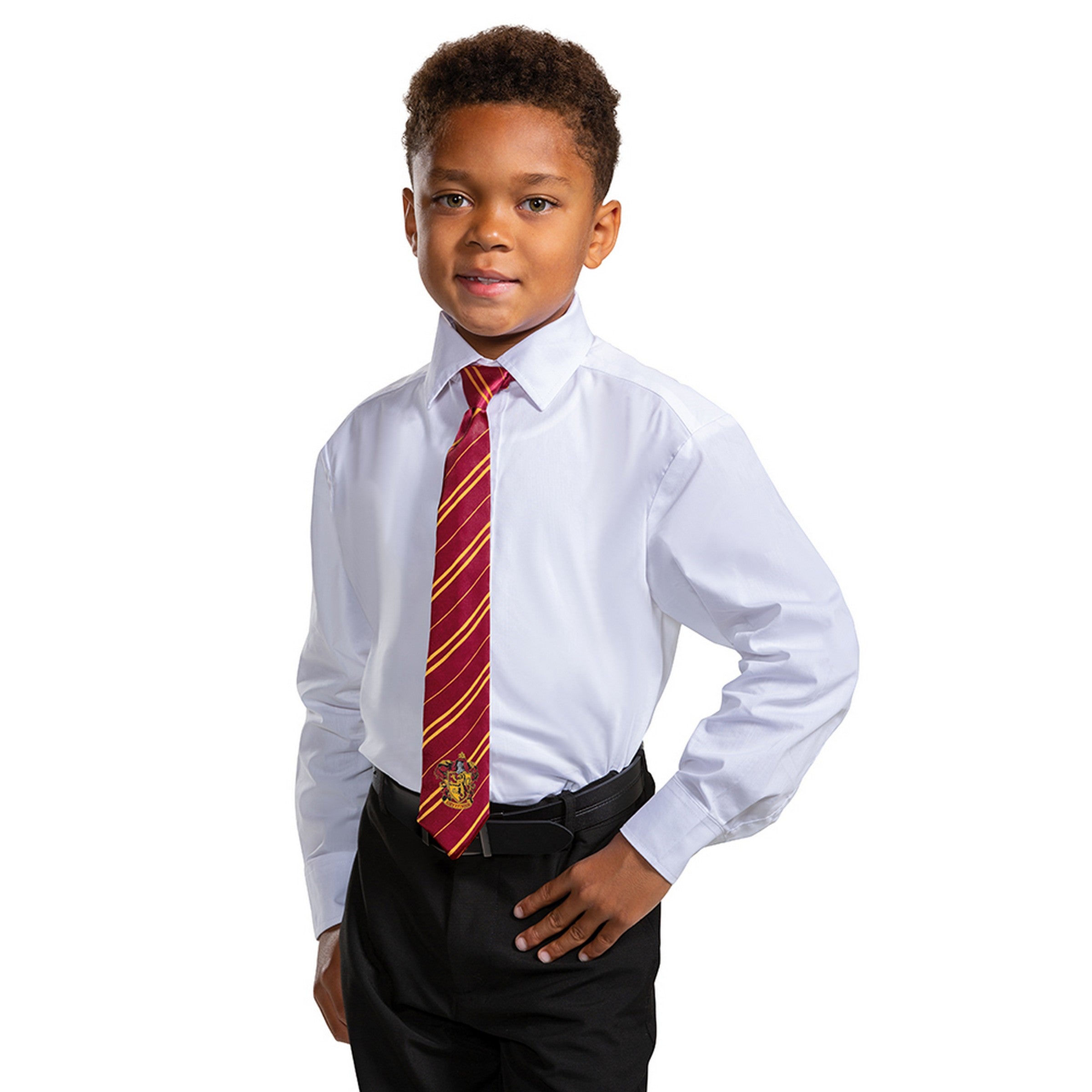 Halloween Gryffindor Tie - One Size Child