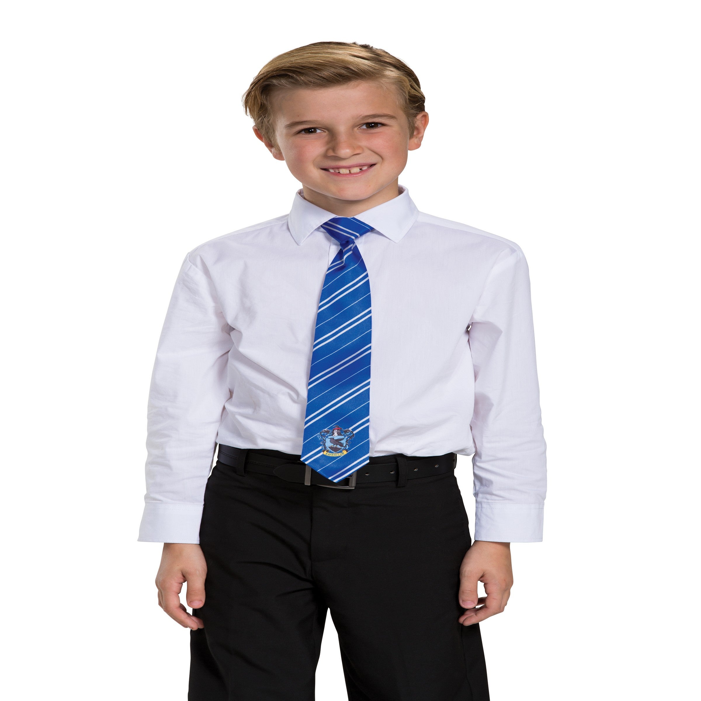 Halloween Ravenclaw Tie - One Size Child