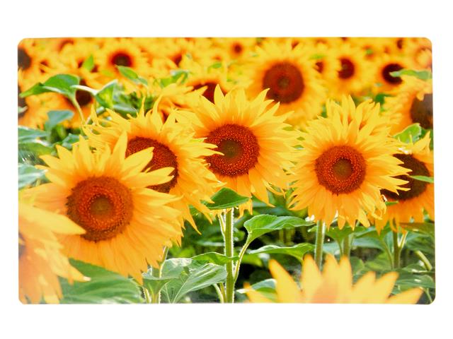 Plastic Placemat - Sunflower 17x11.25in