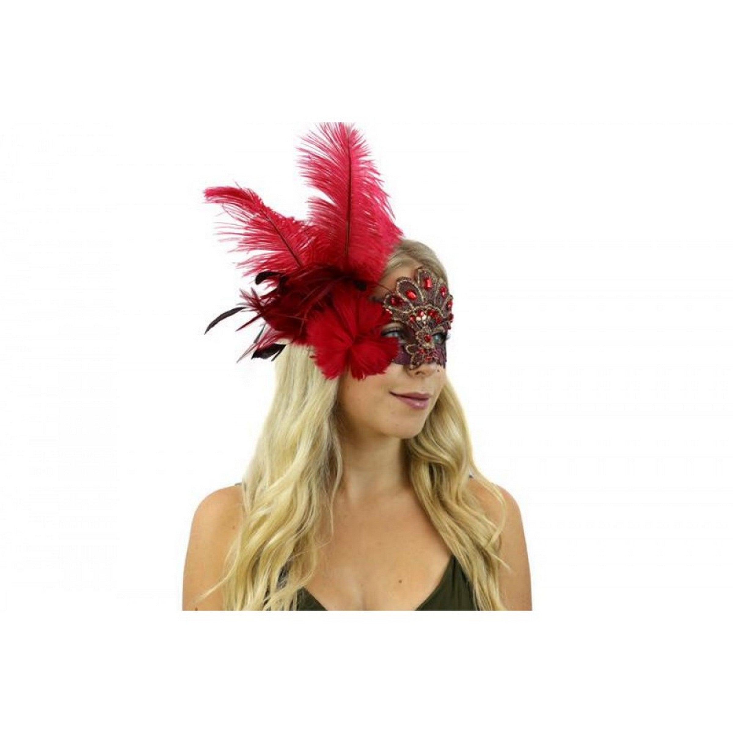 Halloween Lace Venetian Mask with Red Feathers