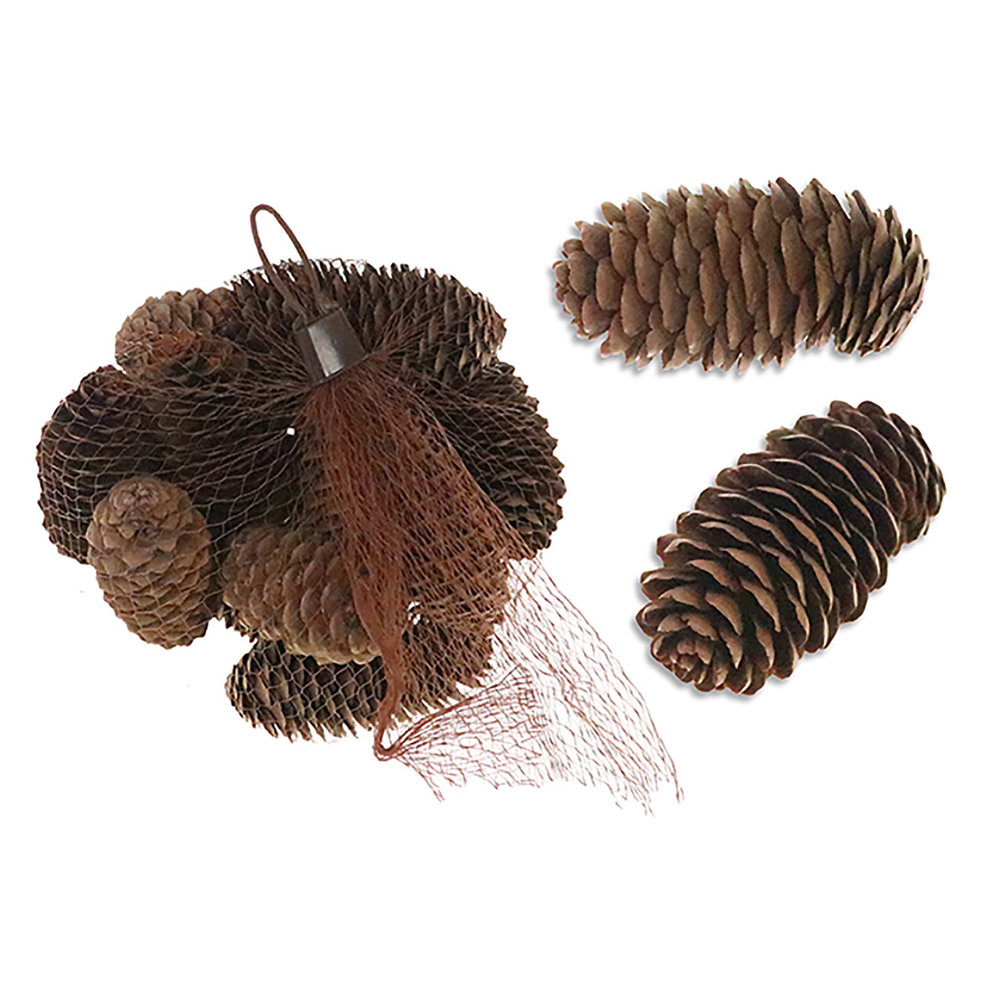 Christmas 15 Natural Tall Pinecones 3.75in