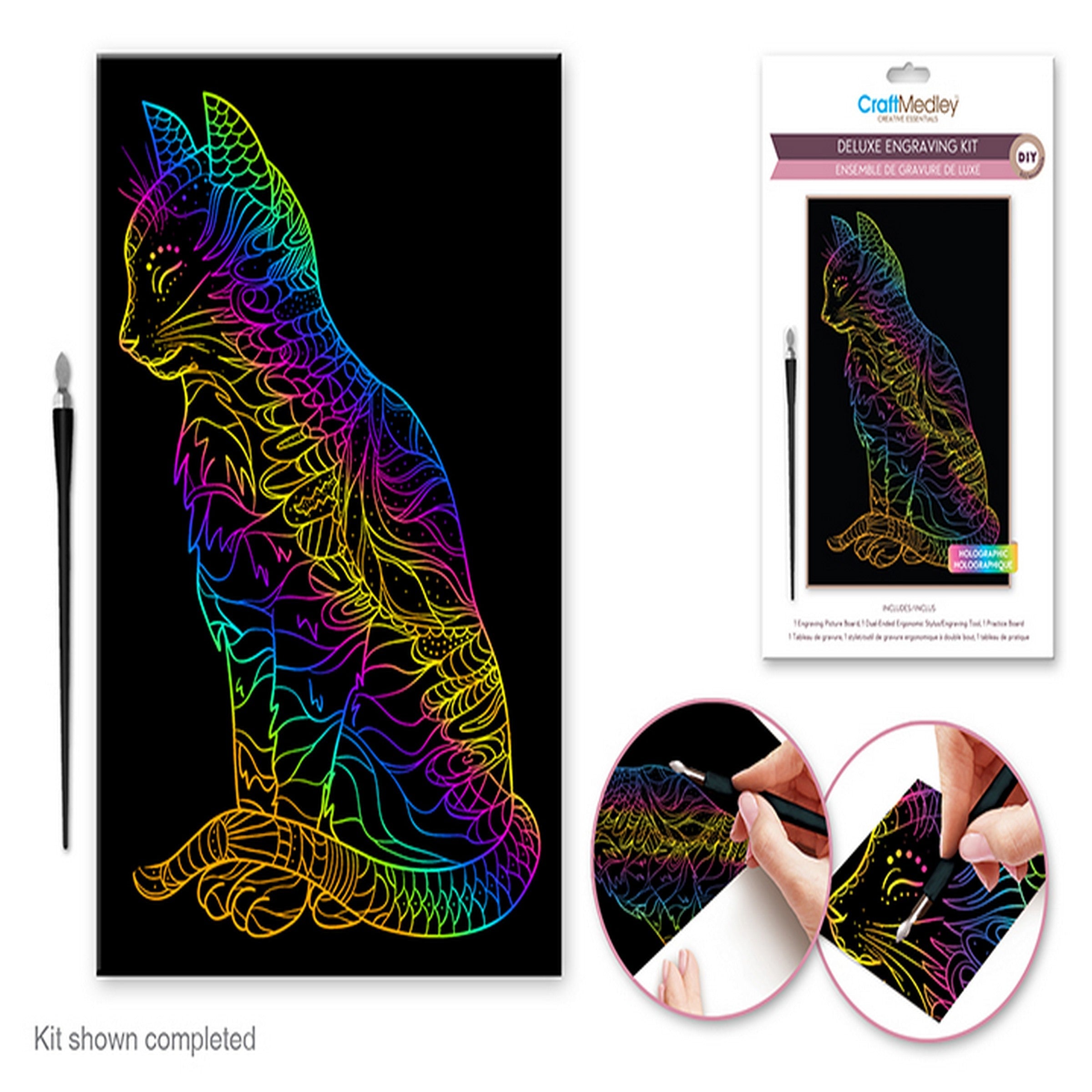 Craft Medley Deluxe Holographic Engraving Art Kit - Cat 8x11.5in