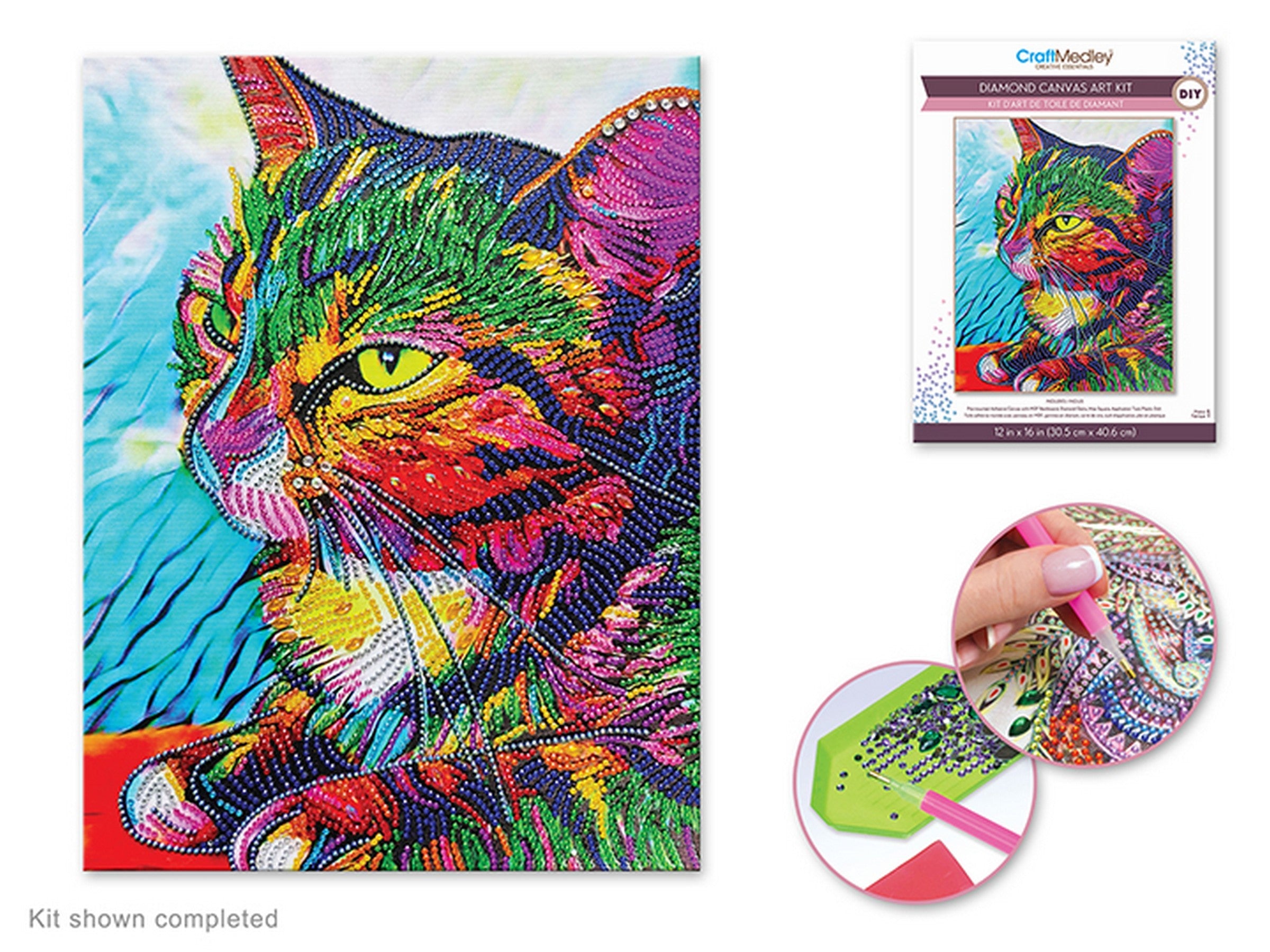 Craft Medley Diamond Painting Canvas Art Kit - Cat 12x16in