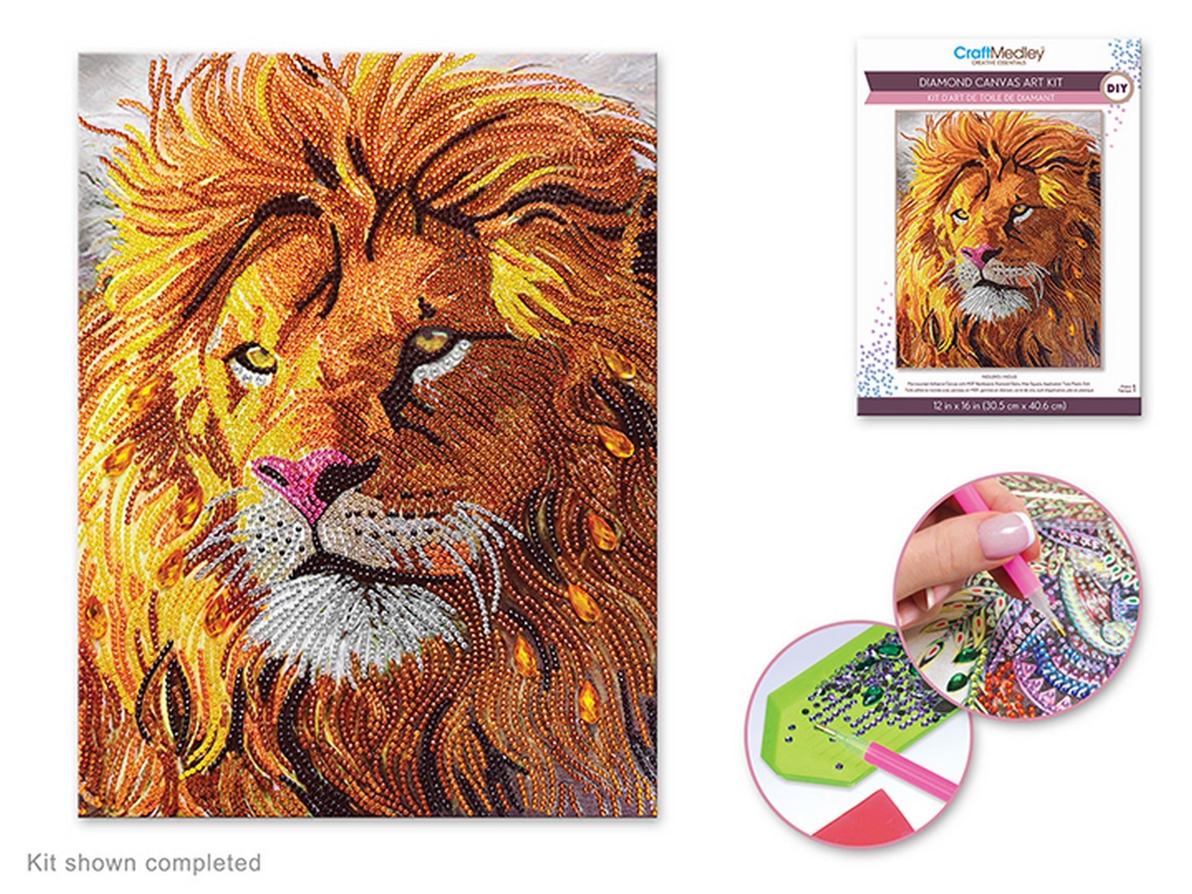 Craft Medley Diamond Painting Canvas Art Kit - Lion 12x16in