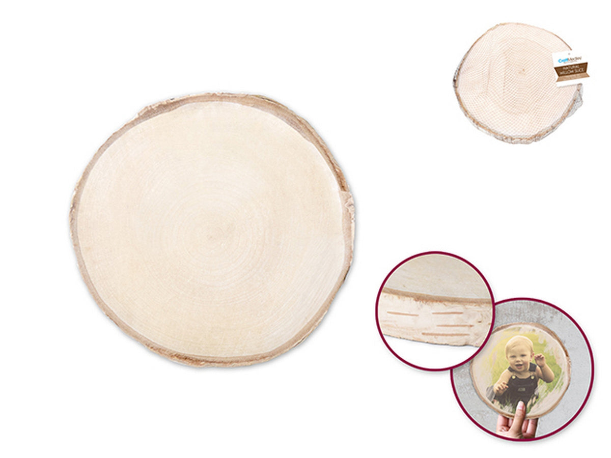 Craft Medley Birch Slice Natural 5in approx.