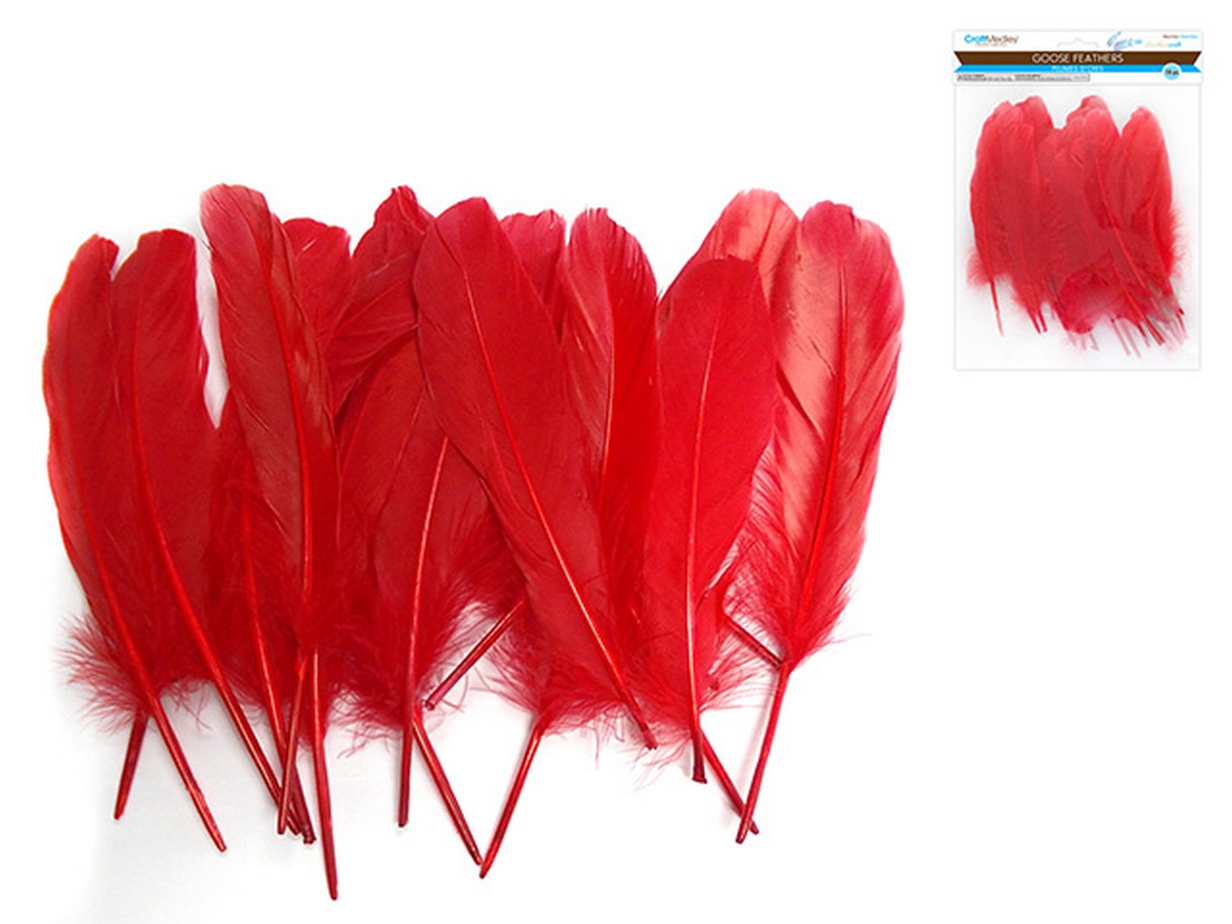 Craft Medley 12 Treated Goose Feathers Red 7in approx.