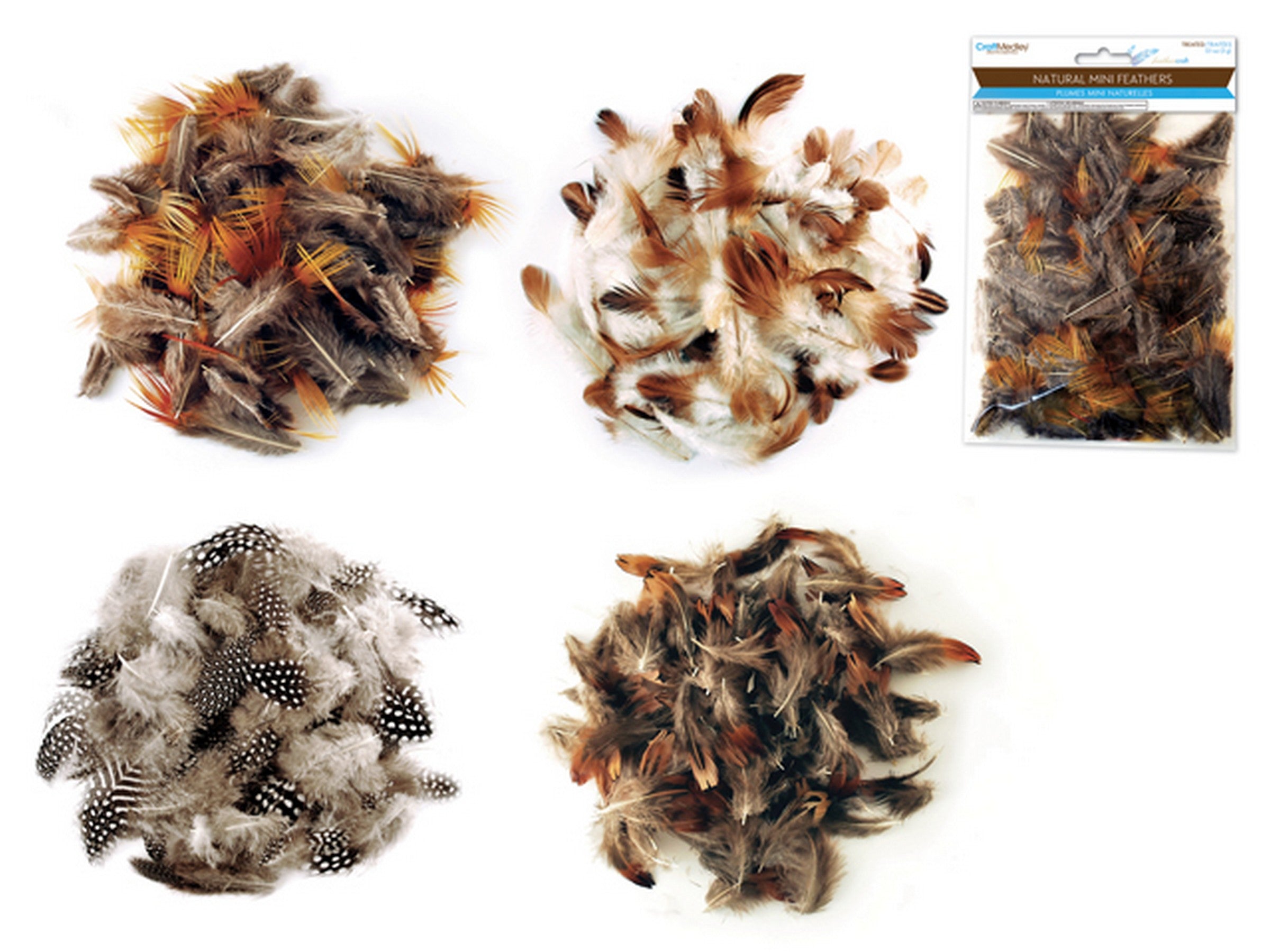Craft Medley Mini Treated Feathers Natural 0.1oz VRT