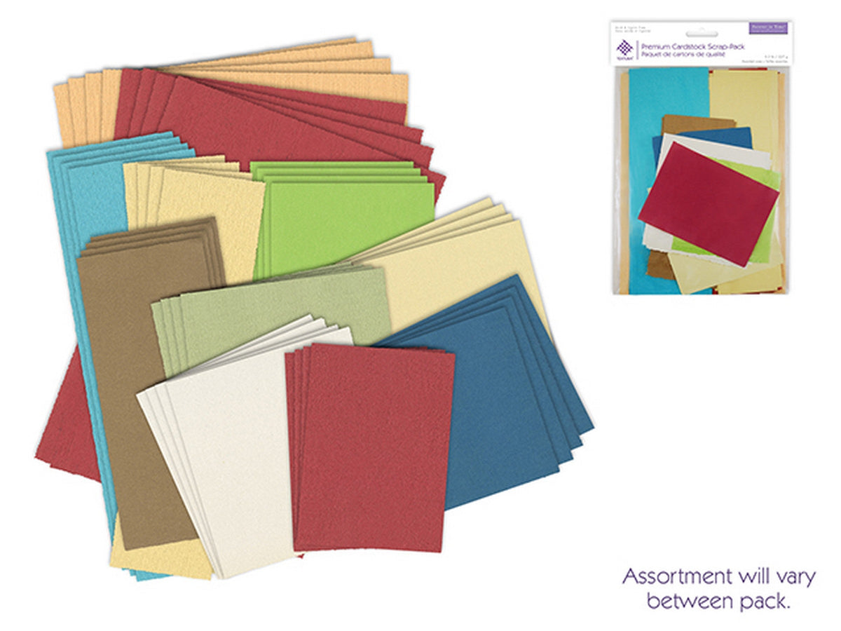 Forever in Time Premium Cardstock Scrap-pack 0.5lb
