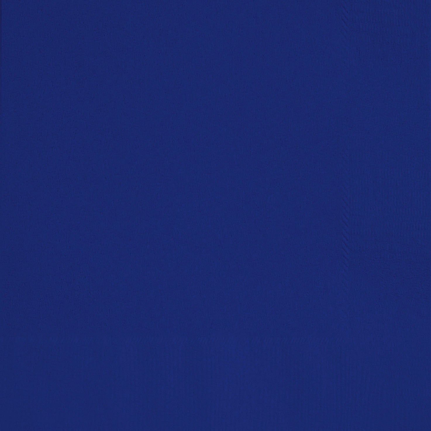 20 True Navy Blue Beverage Napkins - 2Ply 9.75x9.75in