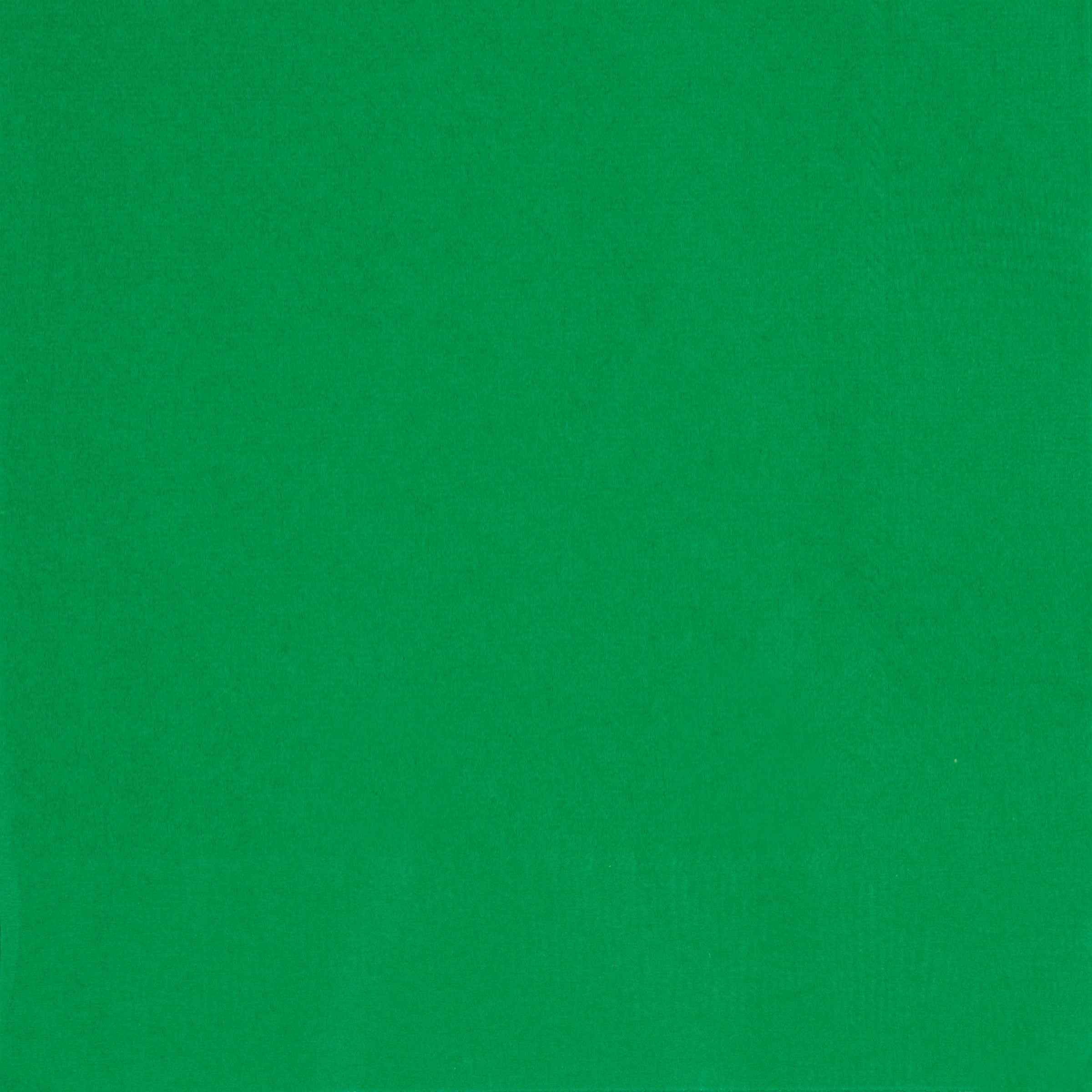 40 Emerald Green Luncheon Napkins 2 Ply 12.75x12.75in