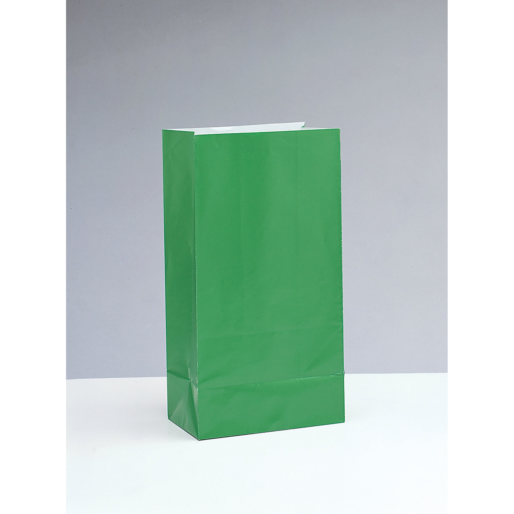 10 Party Paper Bags Green 10H x 5W in