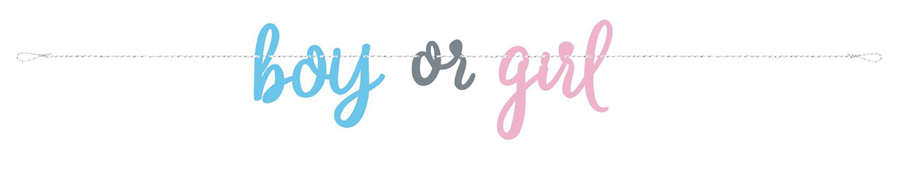 Gender Reveal Party Boy or Girl Banner 84in