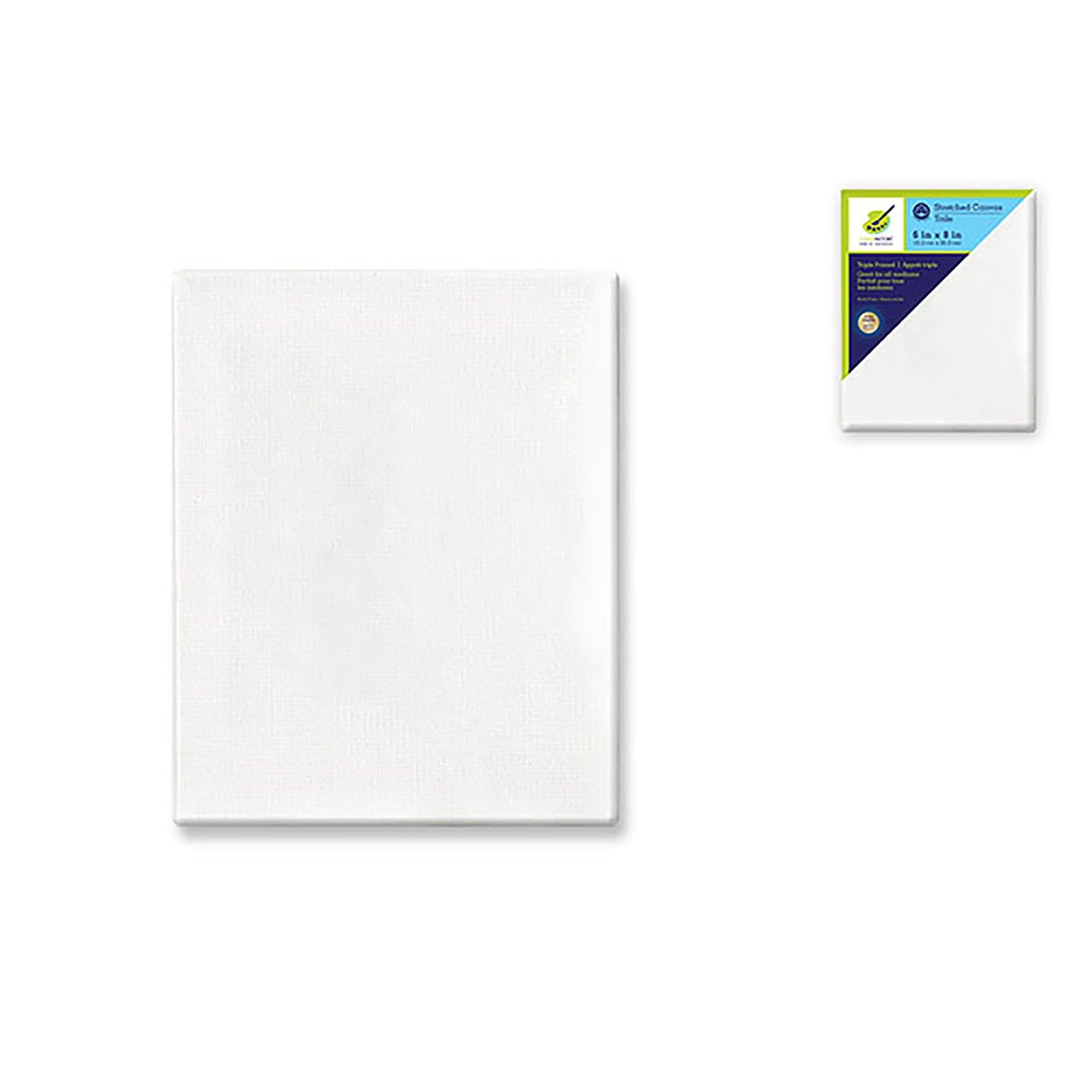 Stretch Artist Canvas: Rect. 6"X8" Primed Back-Stapled Painting Canvas - Dollar Max Dépôt