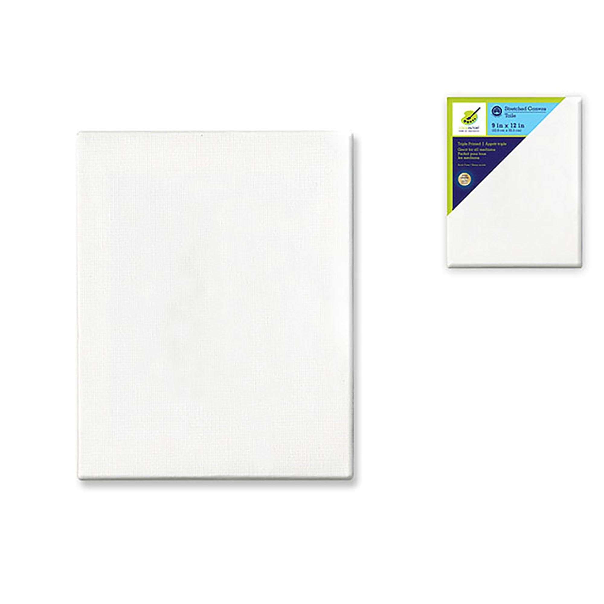 Stretch Artist Canvas: Rect. 9"X12" Primed Back-Stapled Painting Canvas - Dollar Max Dépôt