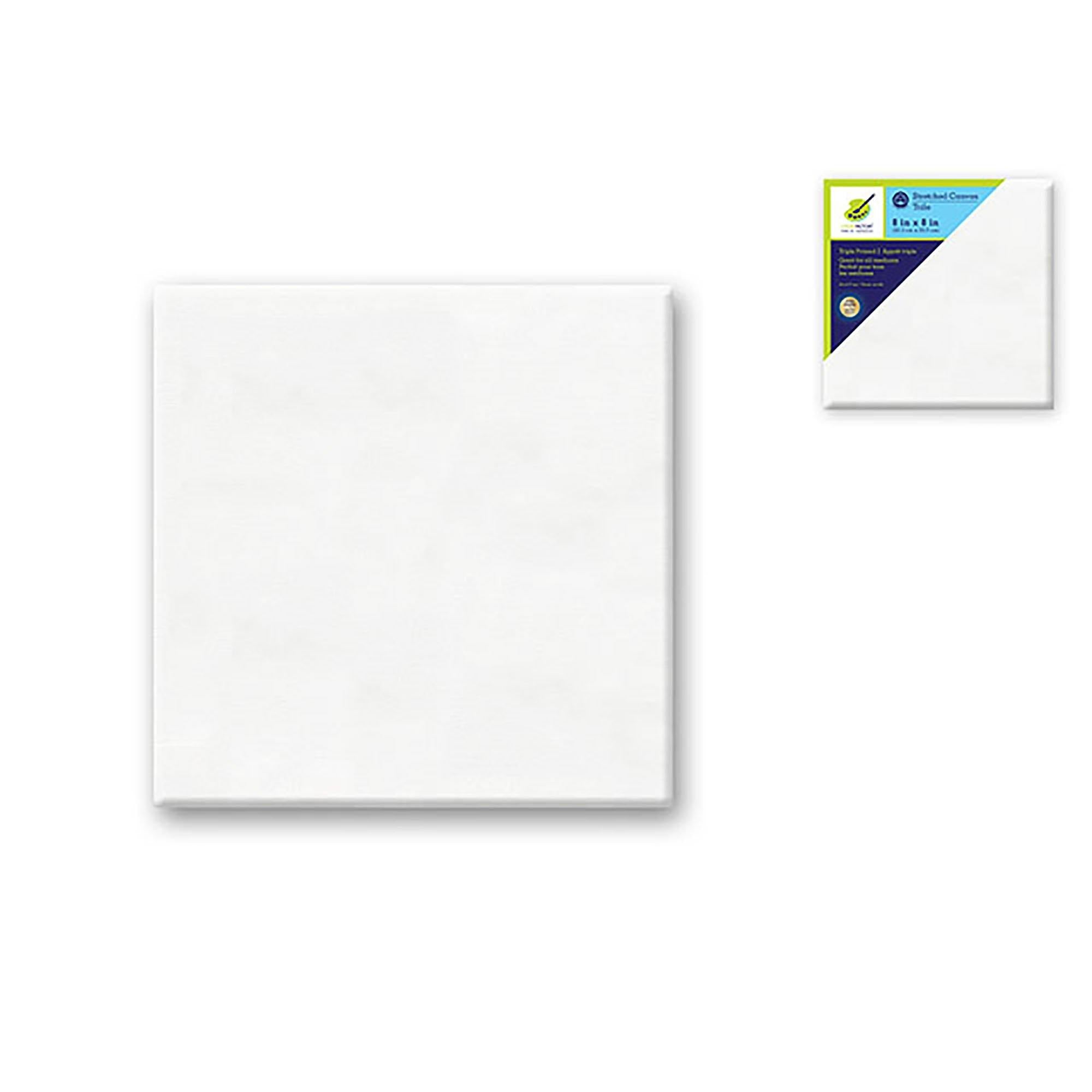 Stretch Artist Canvas: Square 8"X8" Primed Back-Stapled Painting Canvas - Dollar Max Dépôt