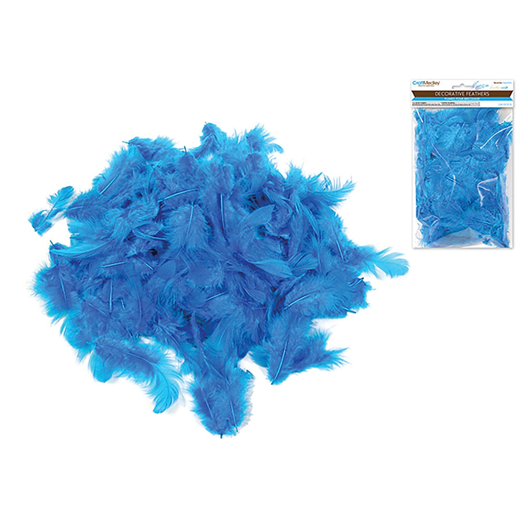 Blue Feather Craft: 12G Craft Feathers 2"-3.5" - Dollar Max Dépôt