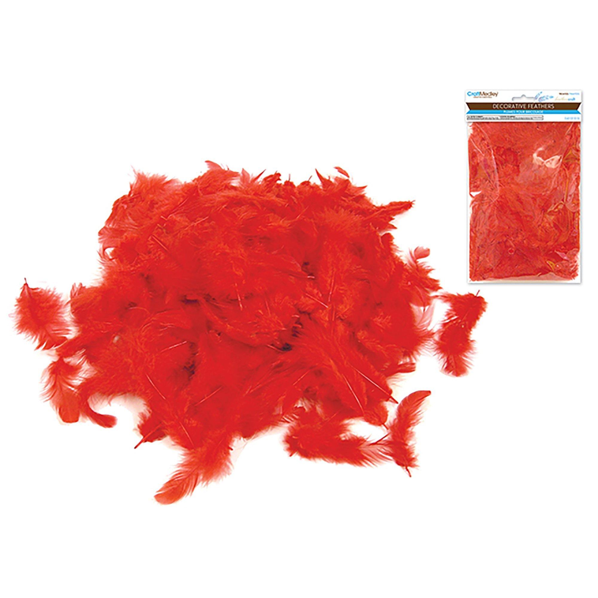 Red Feather Craft: 12G Craft Feathers 2"-3.5" - Dollar Max Dépôt