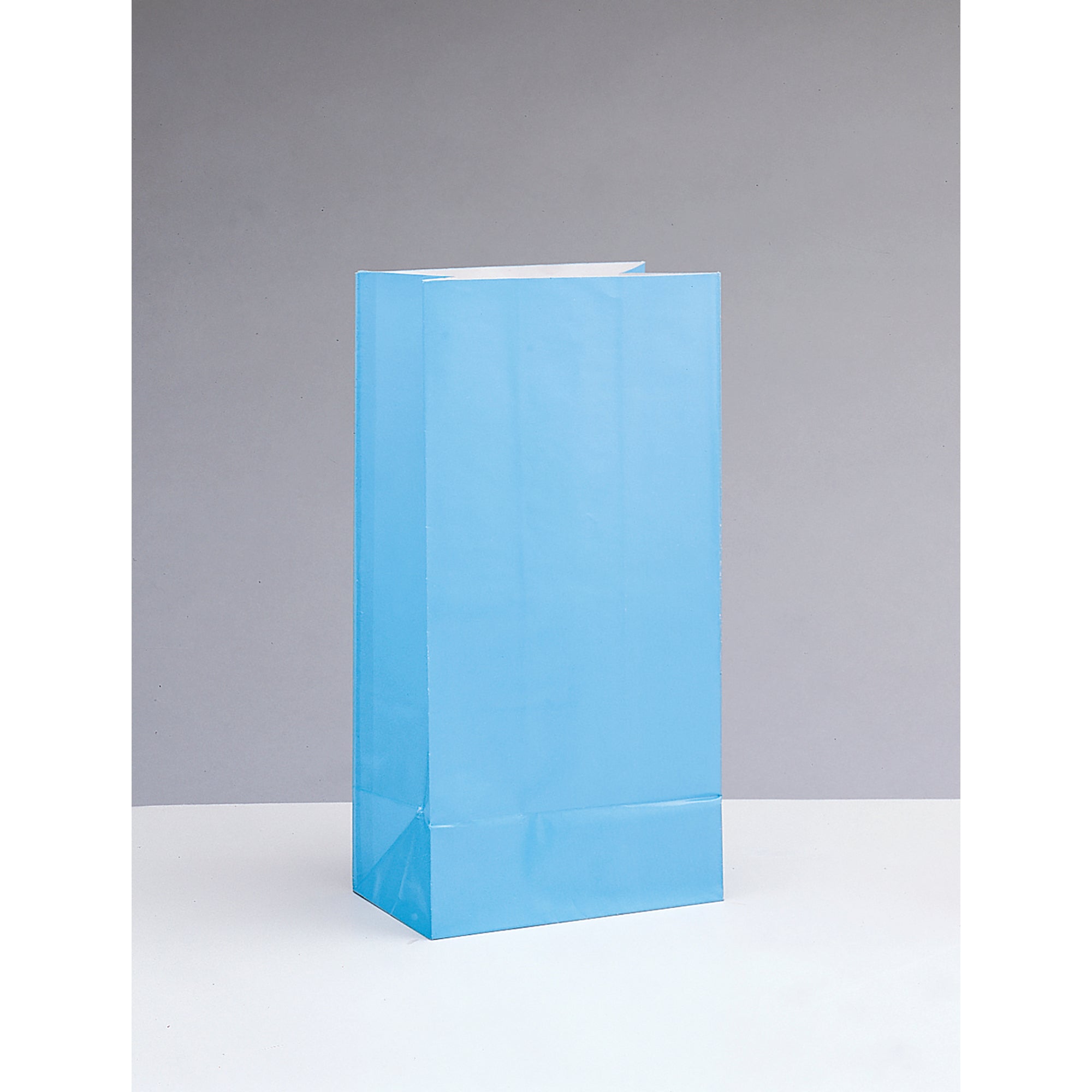 10 Party Paper Bags Powder Blue 10H x 5W in