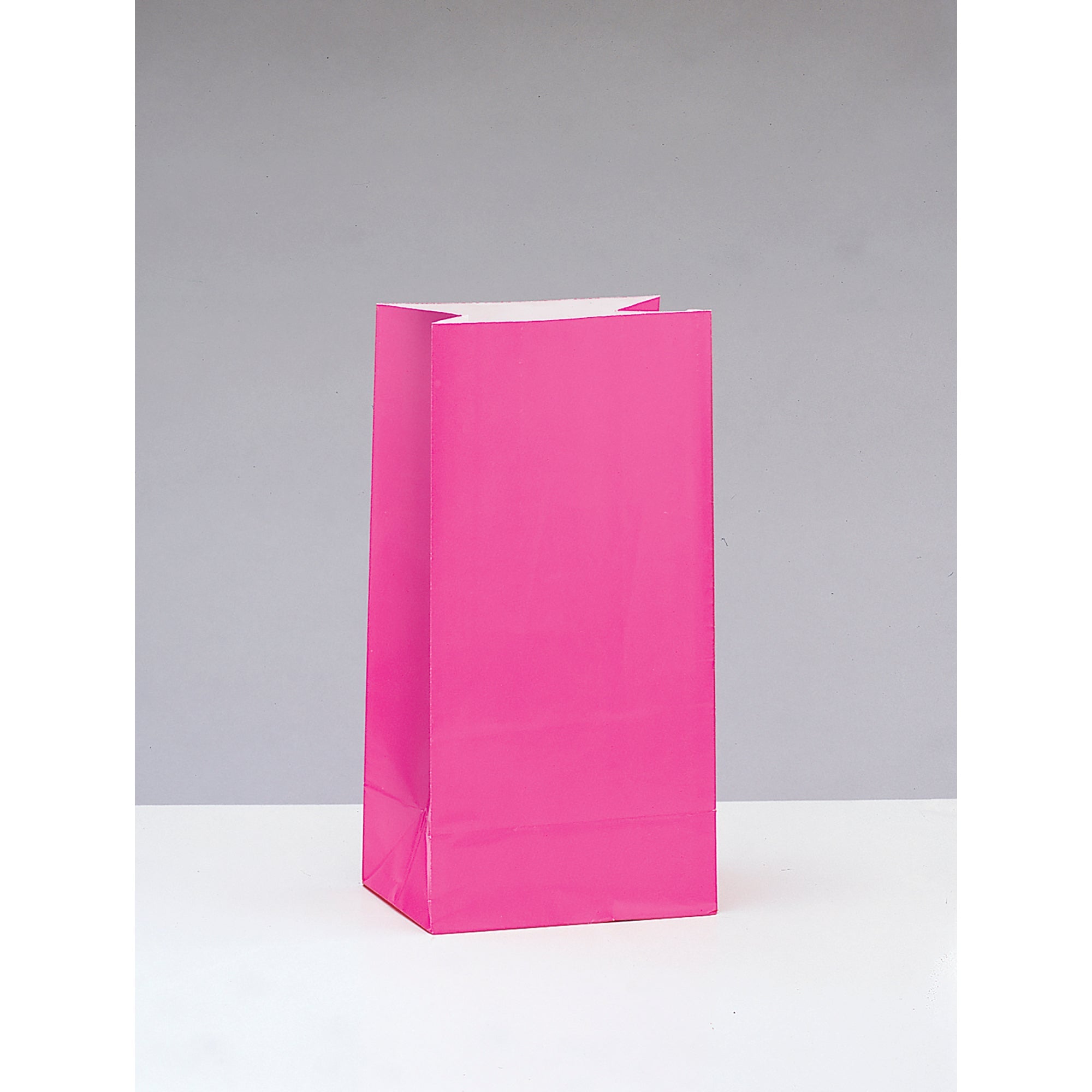 10 Party Paper Bags Hot Pink 10H x 5W in