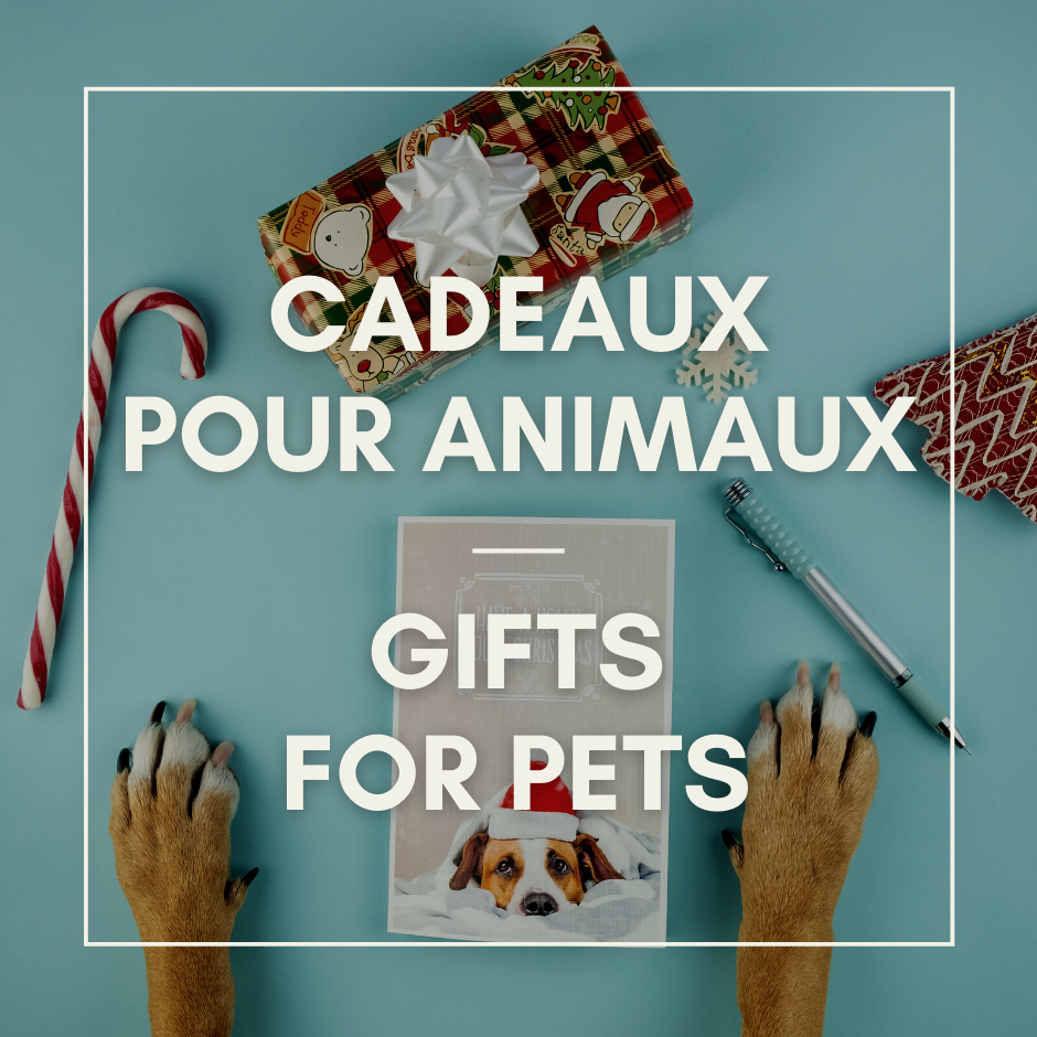 Gifts for pets - Dollar Max Dépôt