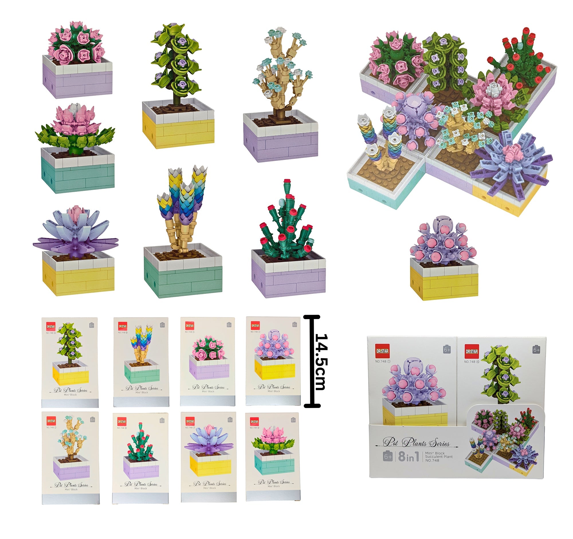 Building Blocks Succulent Plants Series Age 6+ VRT