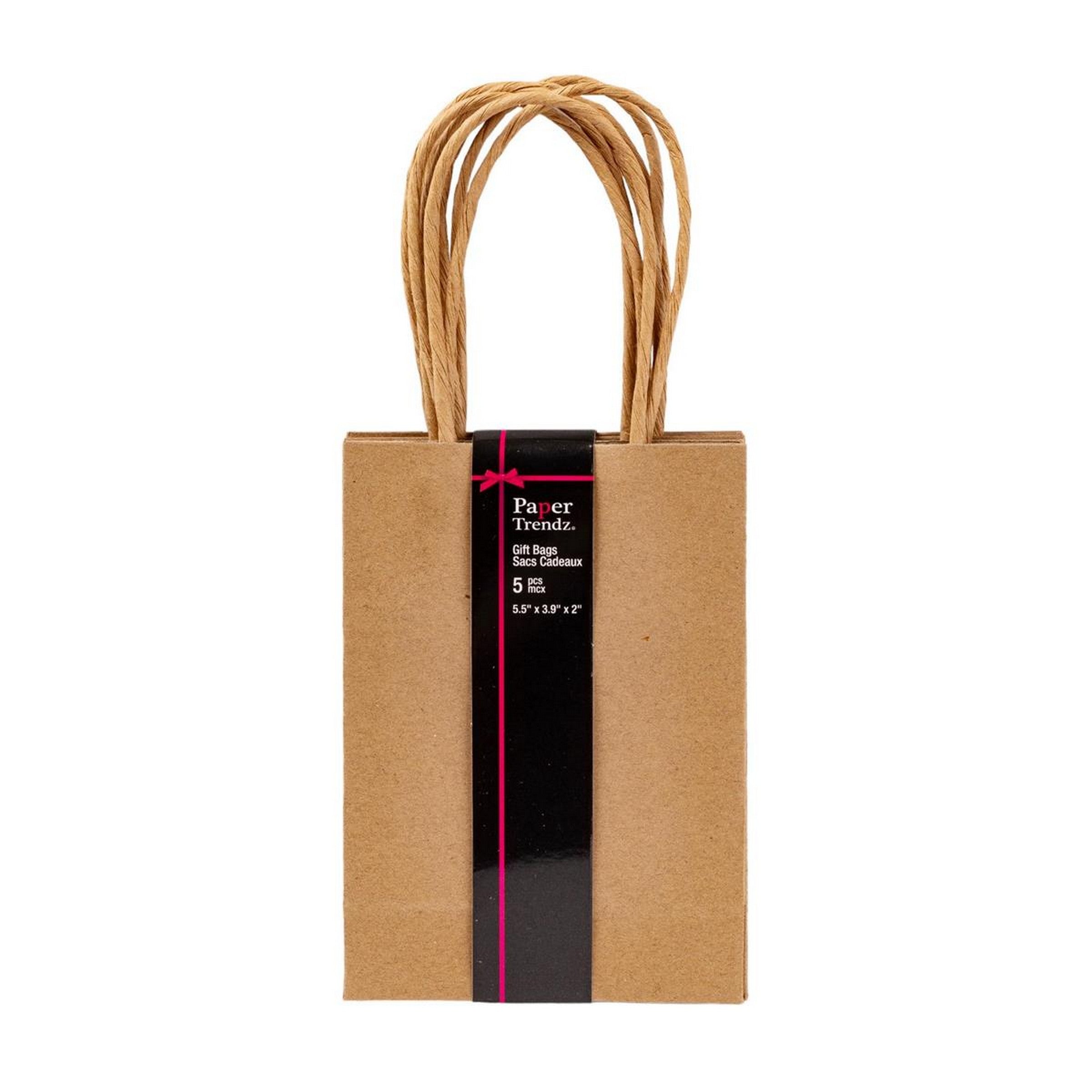 Paper Trendz 5 Kraft Paper Gift Bags 3.9W x 5.5H x 2D in