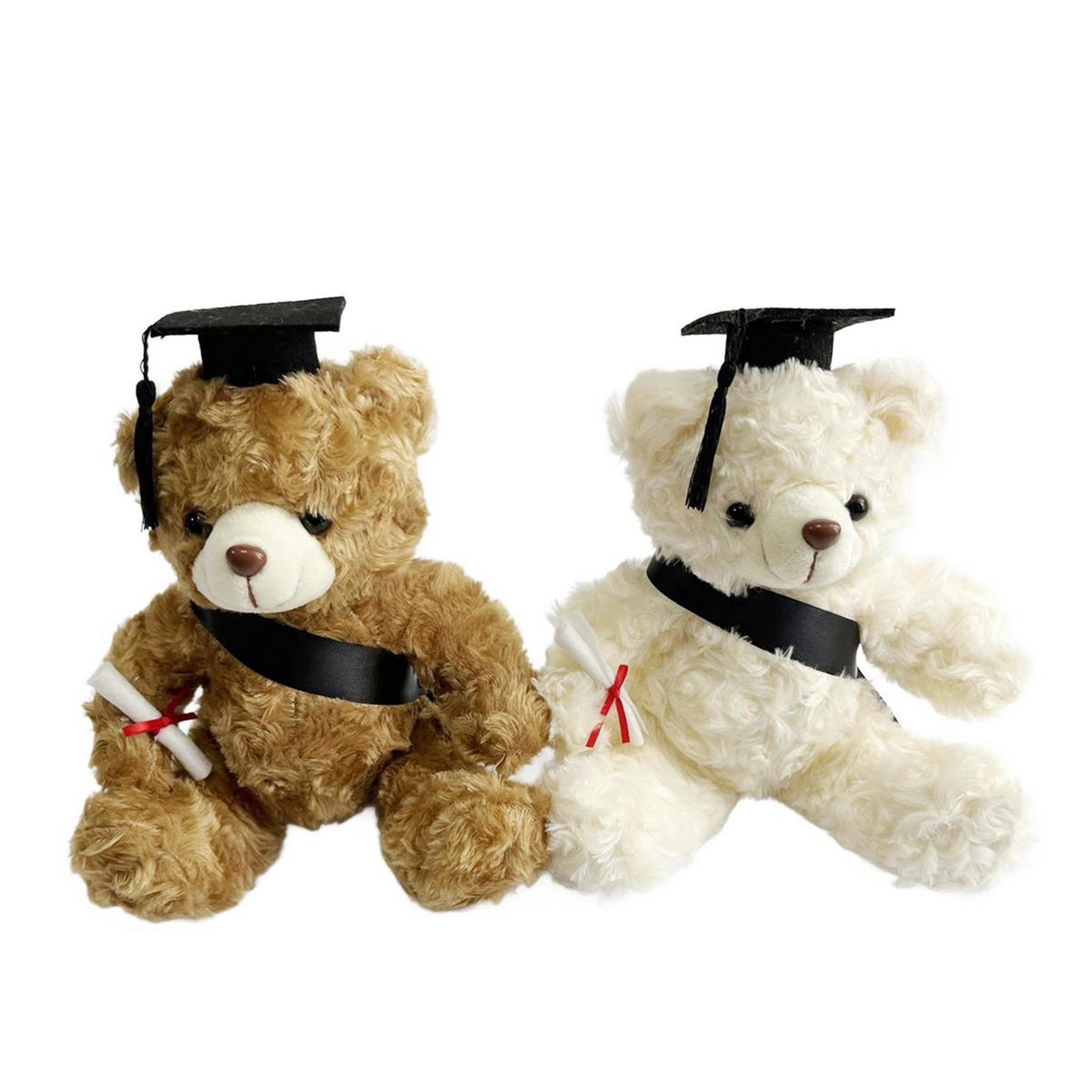 Graduation Teddy Bear Plush 10in VRT