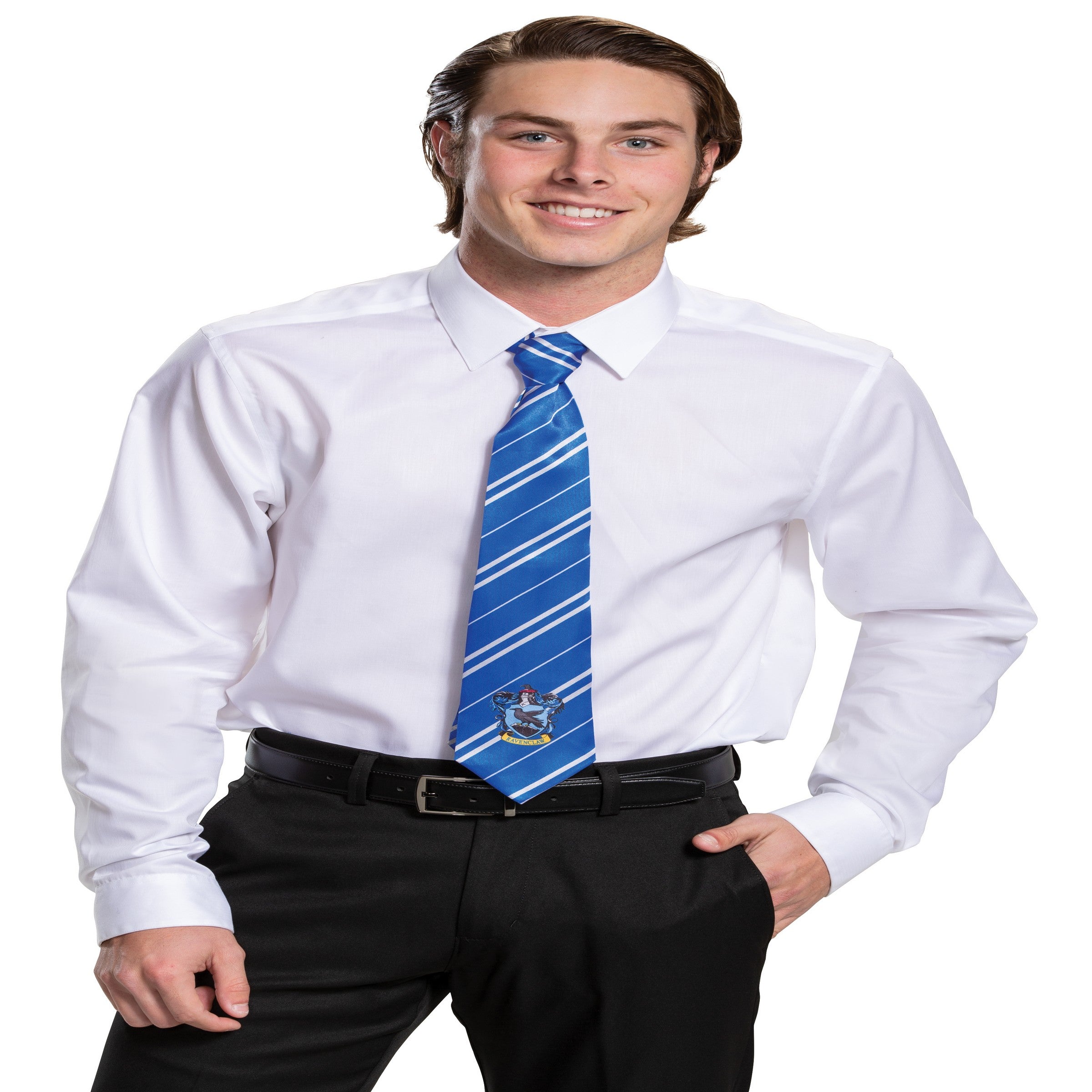 Halloween Ravenclaw Tie - One Size Adult