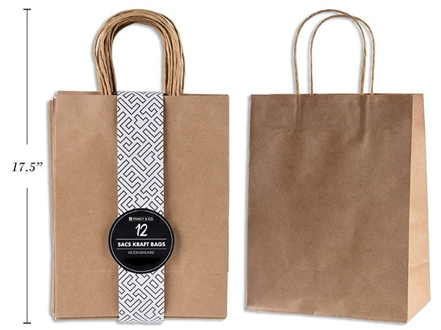 12 Large Kraft Paper Gift Bags 9.8x13x4.7in 