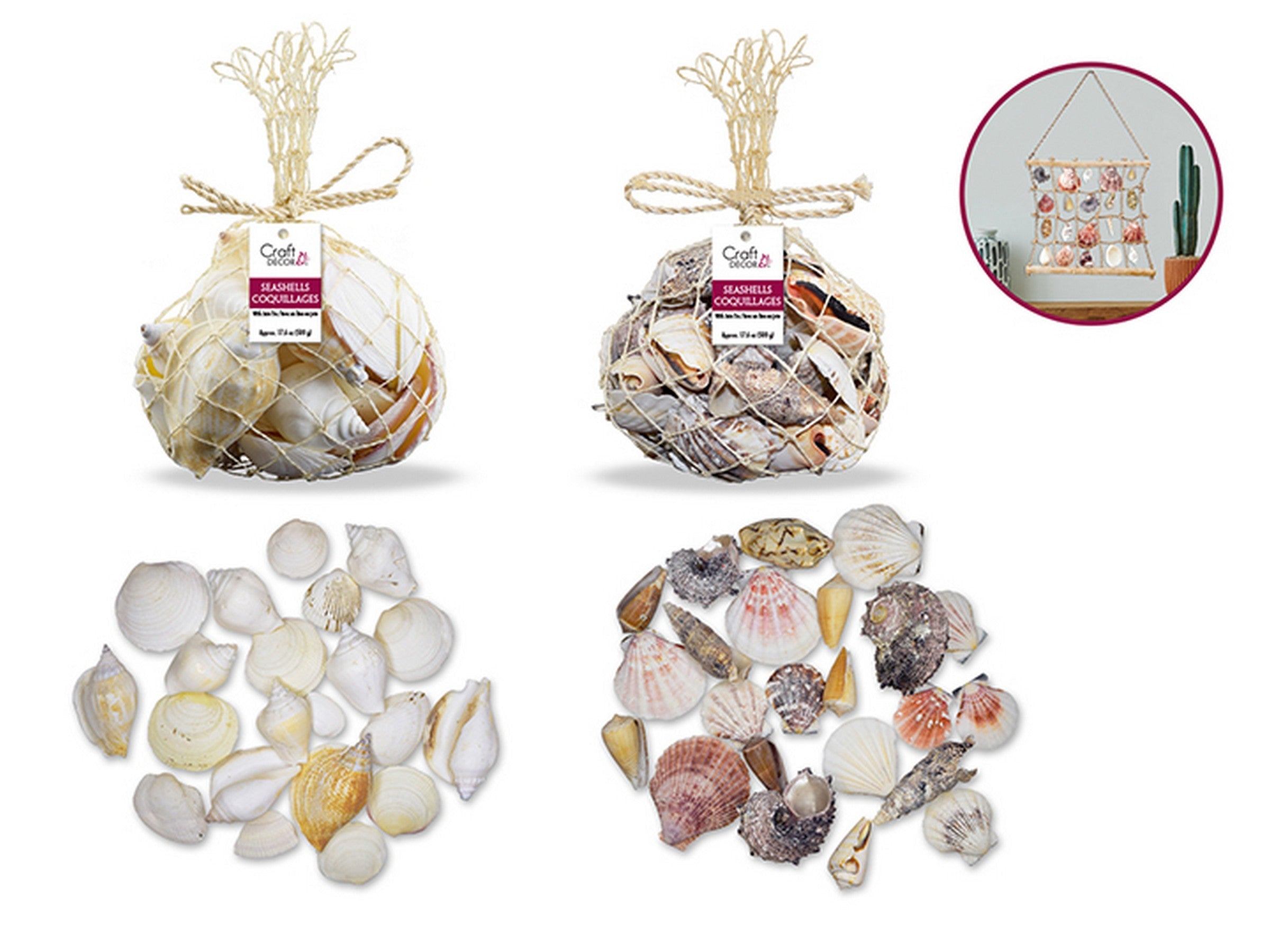 Craft Décor Seashells 17.6oz  VRT
