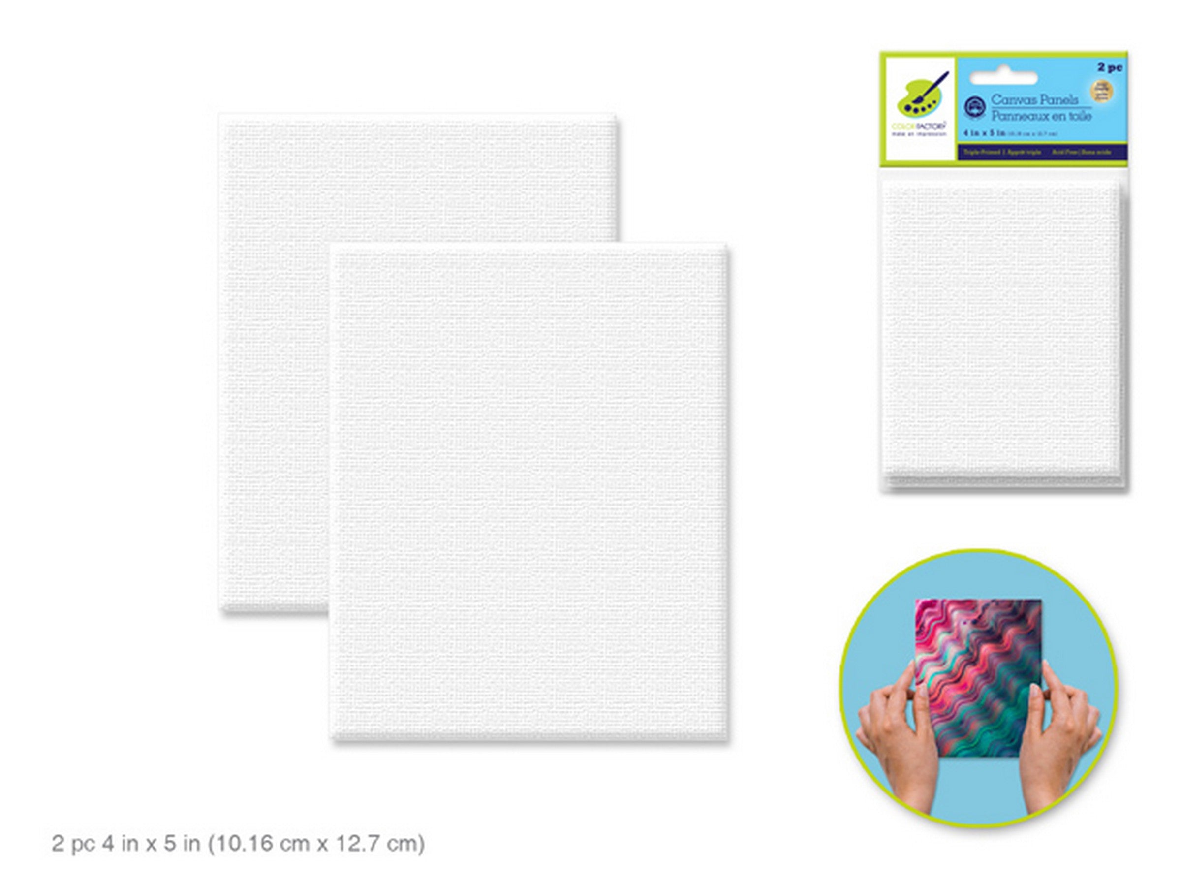 Color Factory 2 Canvas Panels Primed 100% Cotton 4x5in
