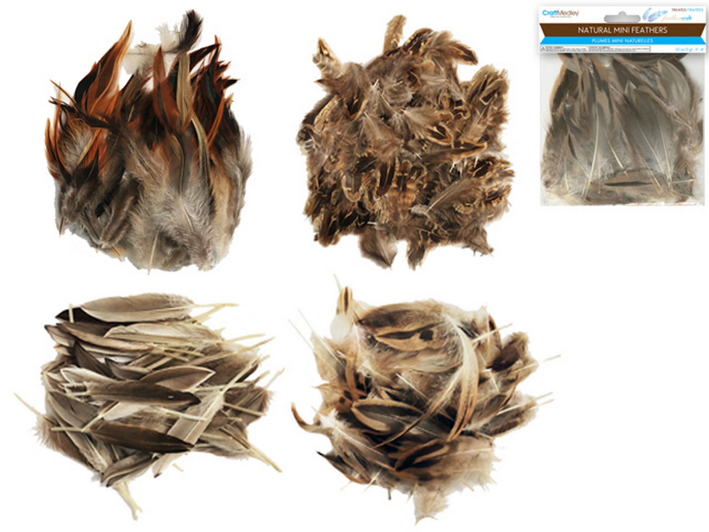 Craft Medley Mini Treated Feathers Natural 3in - 4in 0.1oz  VRT