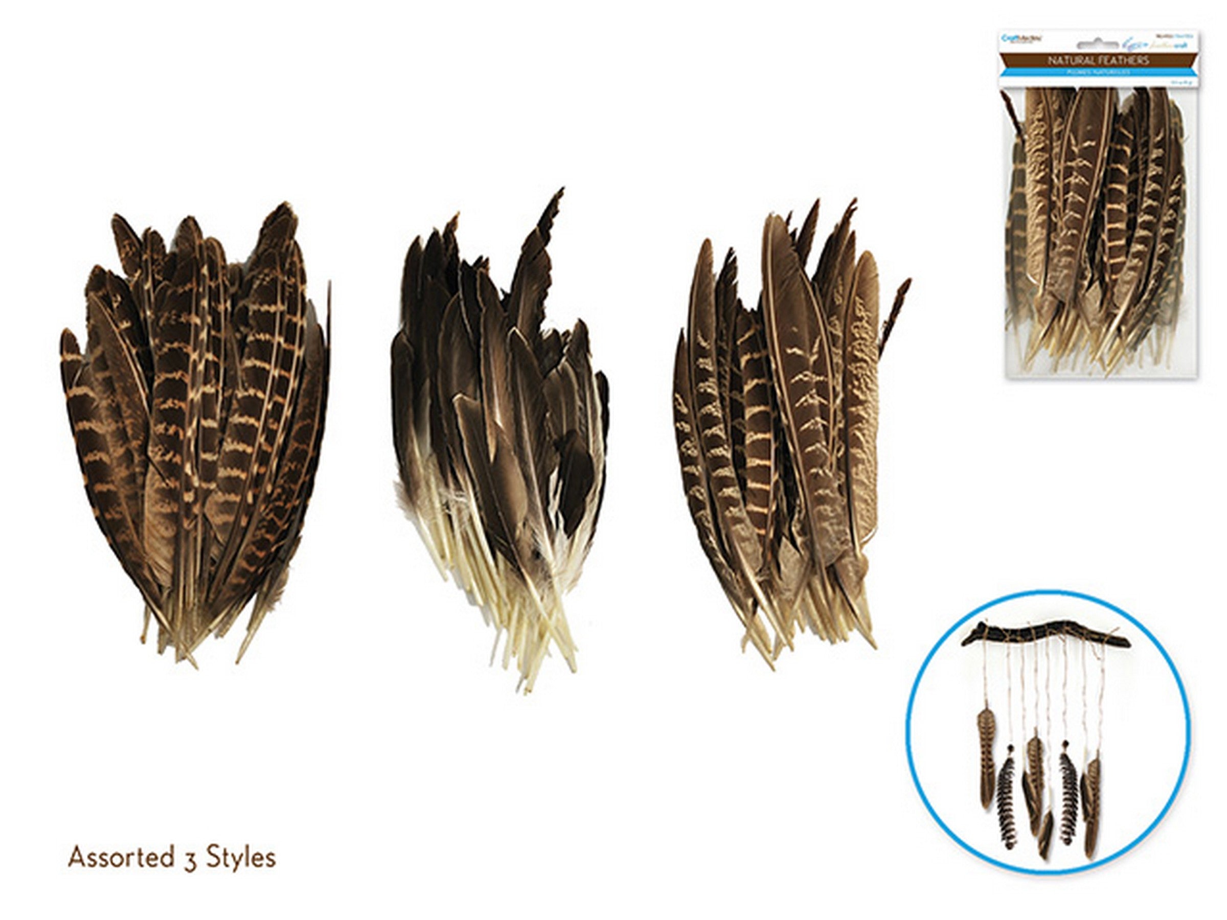 Craft Medley Treated Feathers Natural 0.3oz 7.5in to 9in  VRT