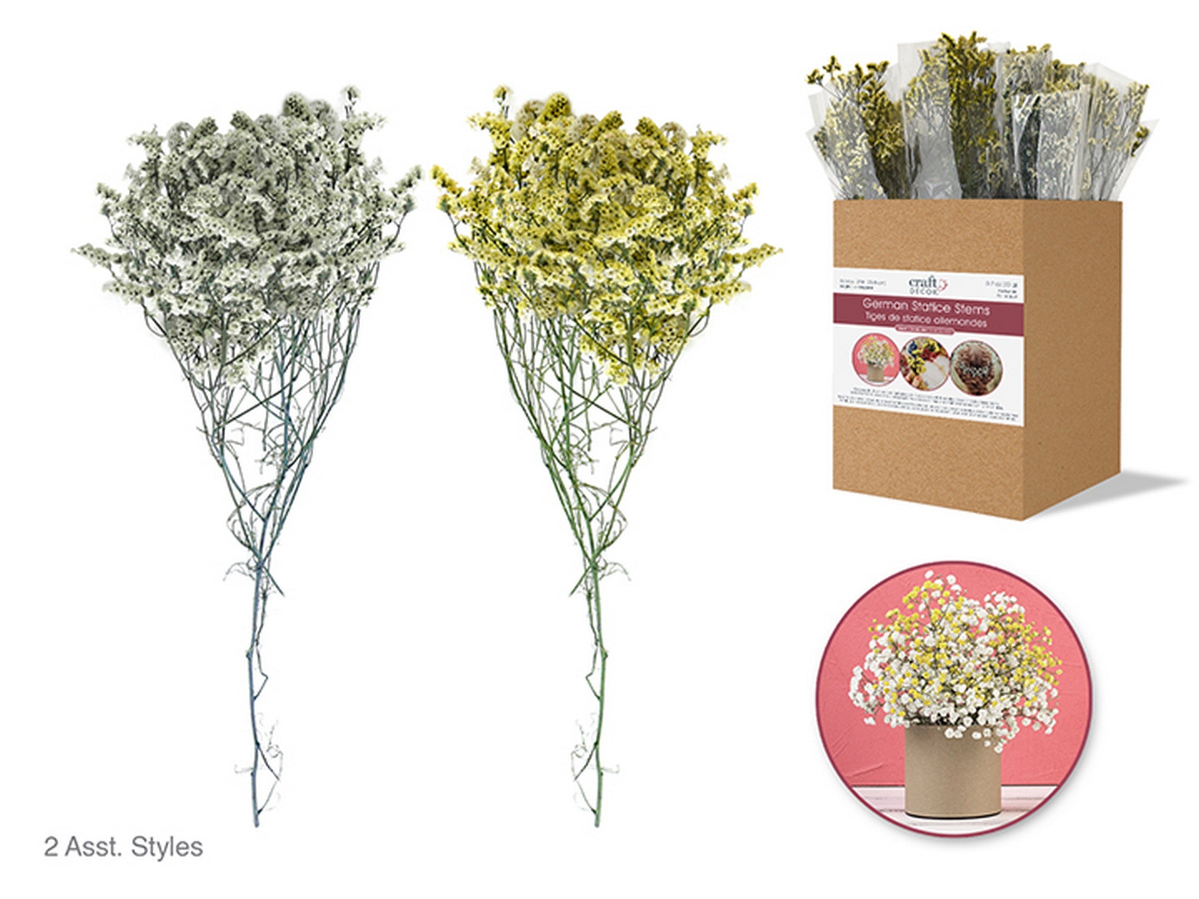 Craft Décor Dried Natural German Statice Spray Stem 22in  VRT 