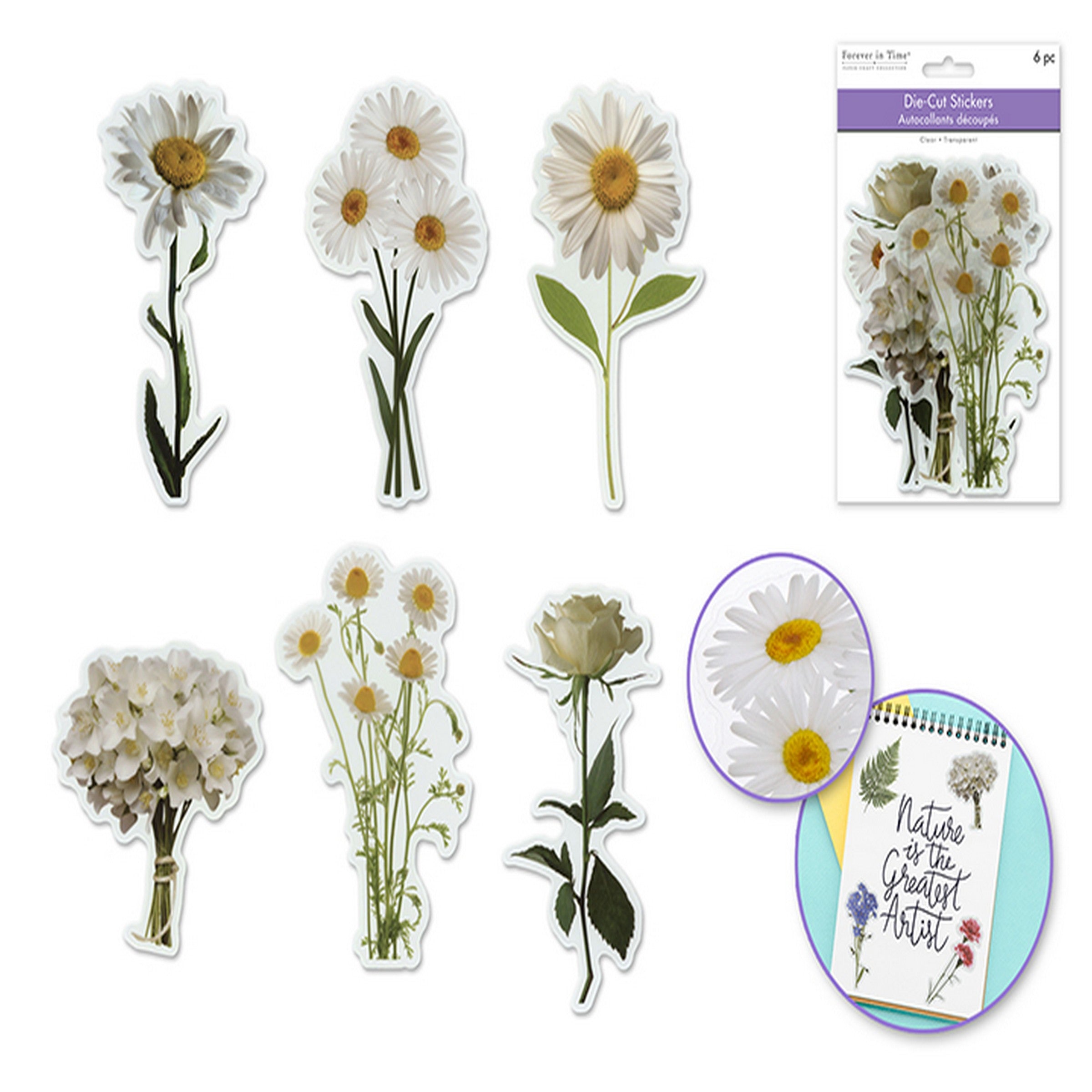 Forever in Time 6 Clear Die-cuts - White Flower Flair 6in