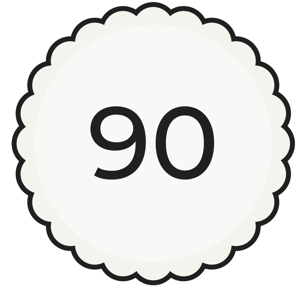 Oui Party Chic 90th Birthday 8 Paper Plates 9in