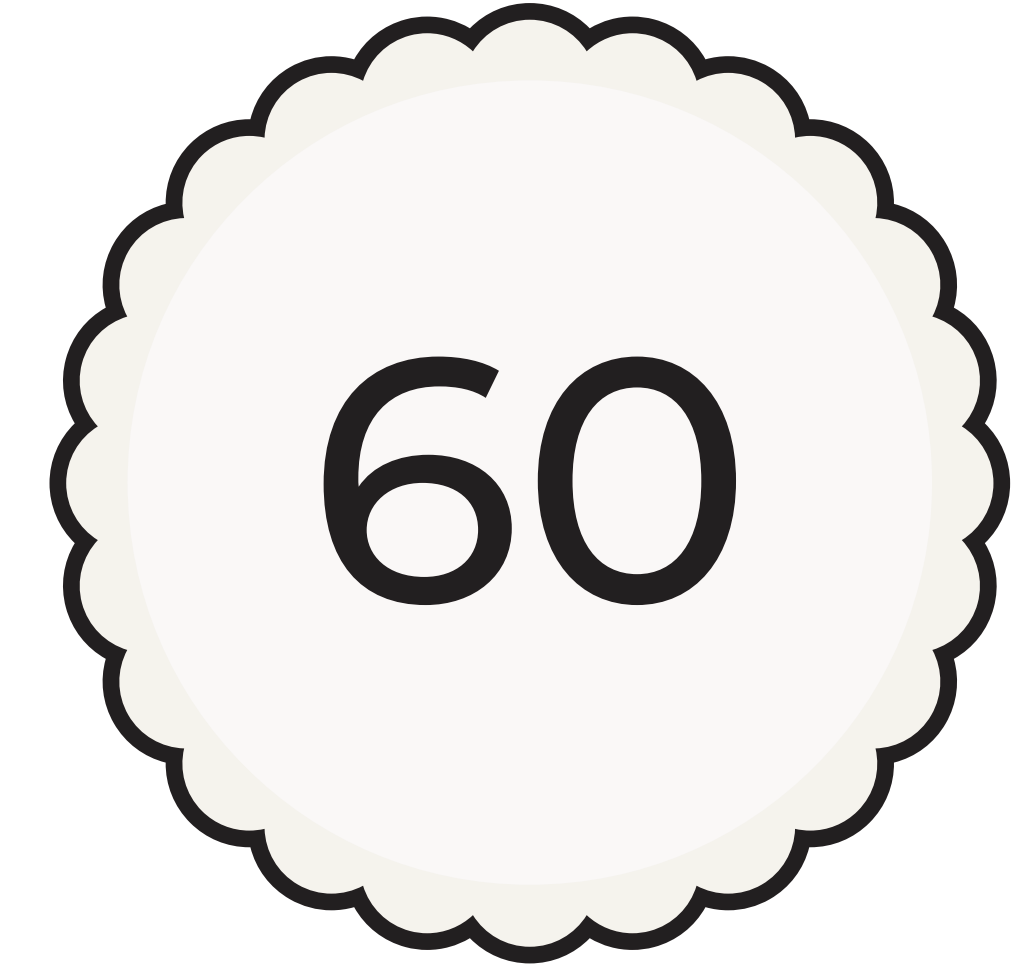 Oui Party Chic 60th Birthday 8 Paper Plates 9in