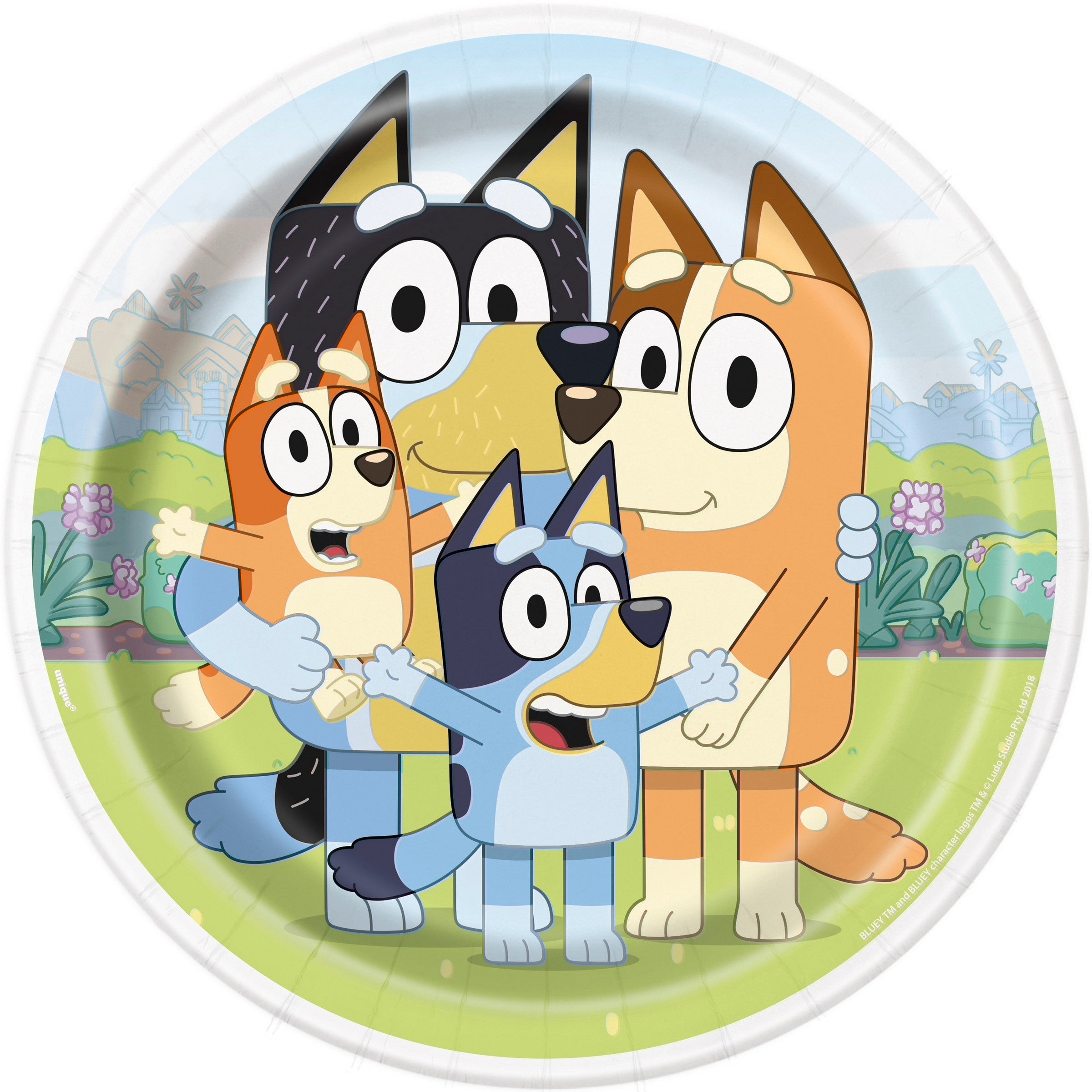 Bluey 8 Round Paper Plates 9in