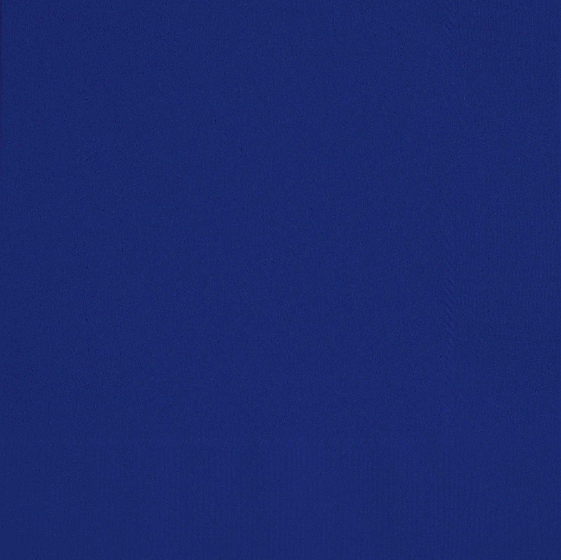20 True Navy Blue Luncheon Napkins - 2Ply 12.75x12.75in