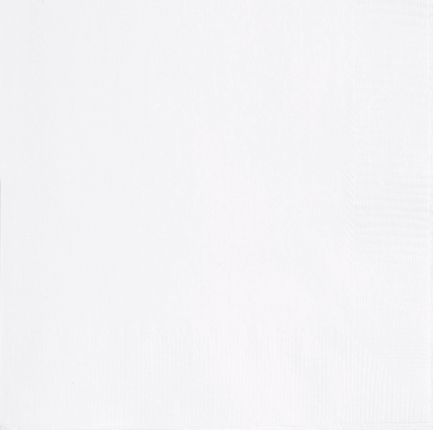 20 White Beverage Napkins - 2Ply 9.75x9.75in