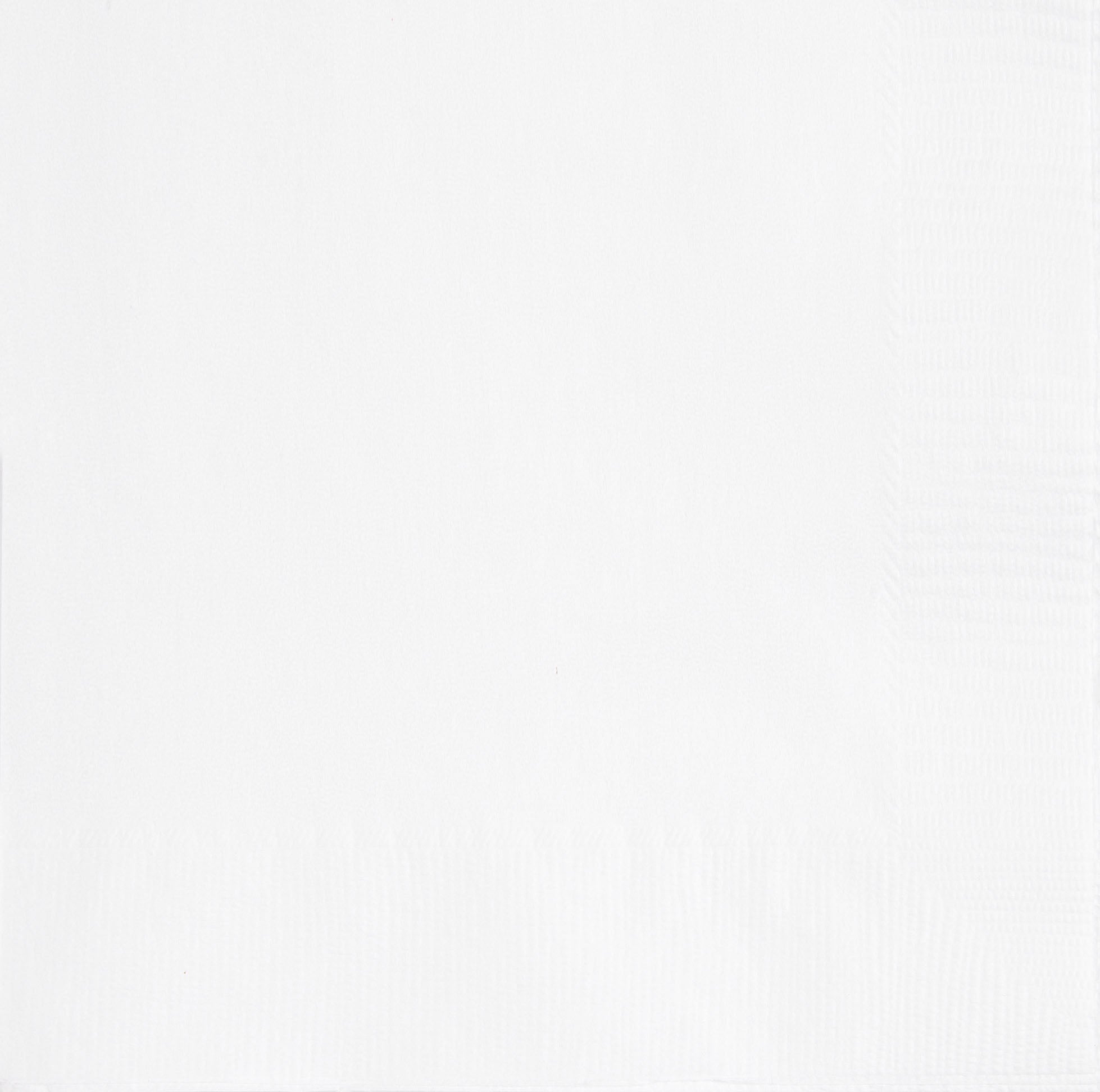 20 White Luncheon Napkins - 2Ply 12.75x12.75in