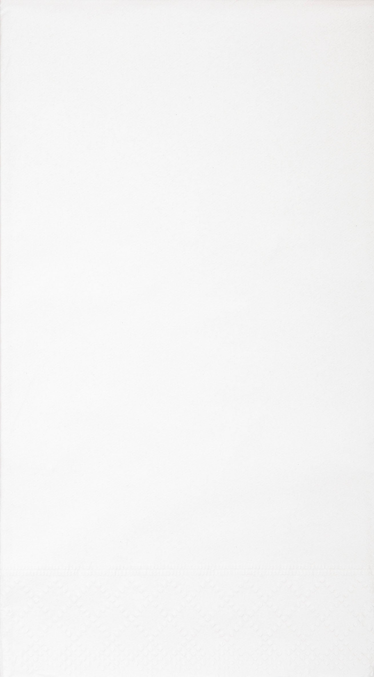 20 White Guest Napkins - 2Ply 12.9x15.2in