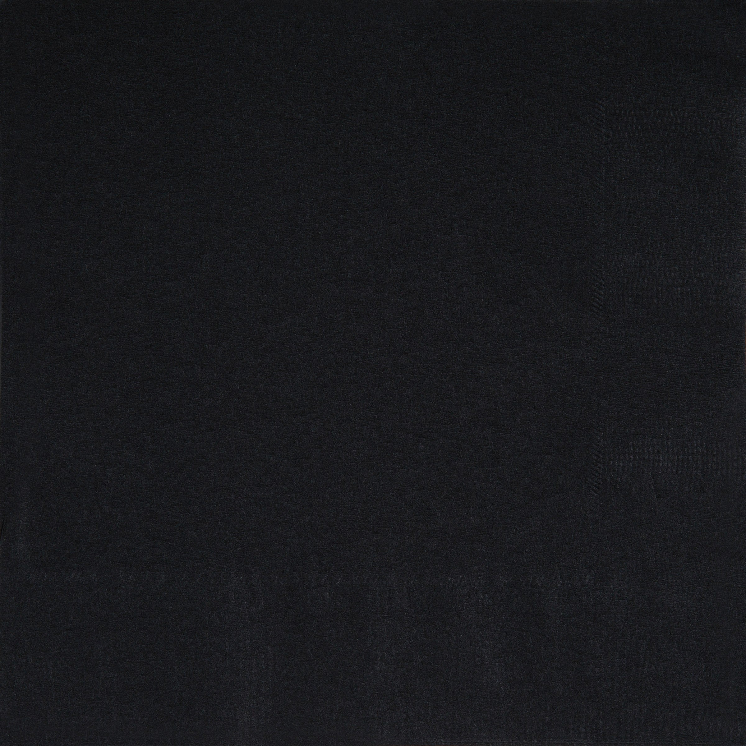 40 Black Luncheon Napkins 2 Ply 12.75x12.75in